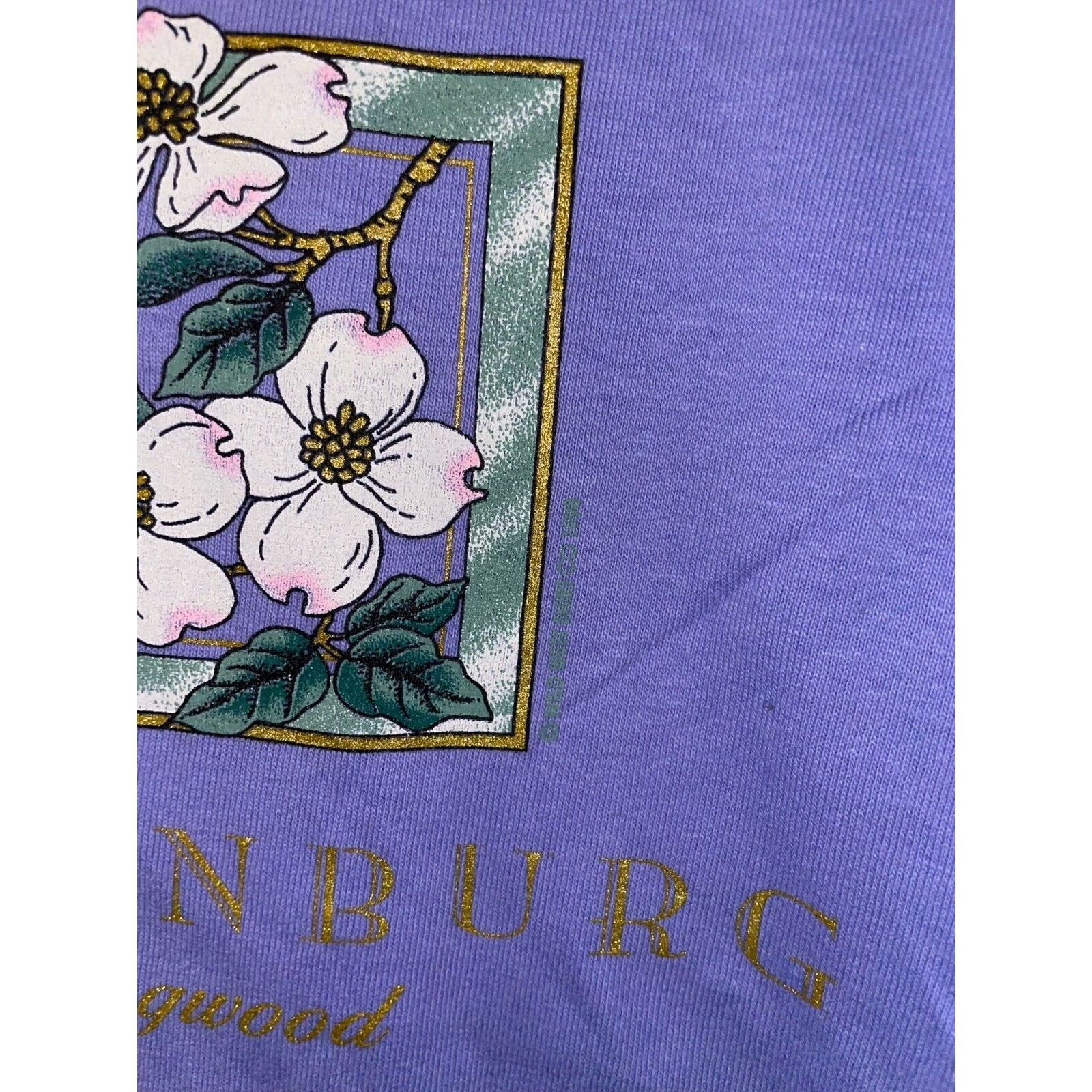 Anvil Vintage Womens Gatlinburg Shirt Dogwood bee Tee Top 90s M Size M / US 6-8 / IT 42-44 - 6 Thumbnail