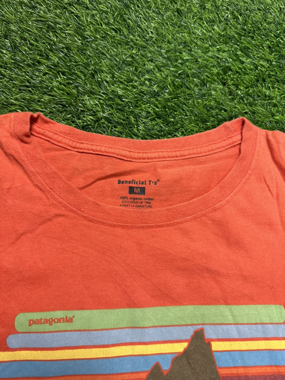 PATAGONIA - organic cotton tshirt