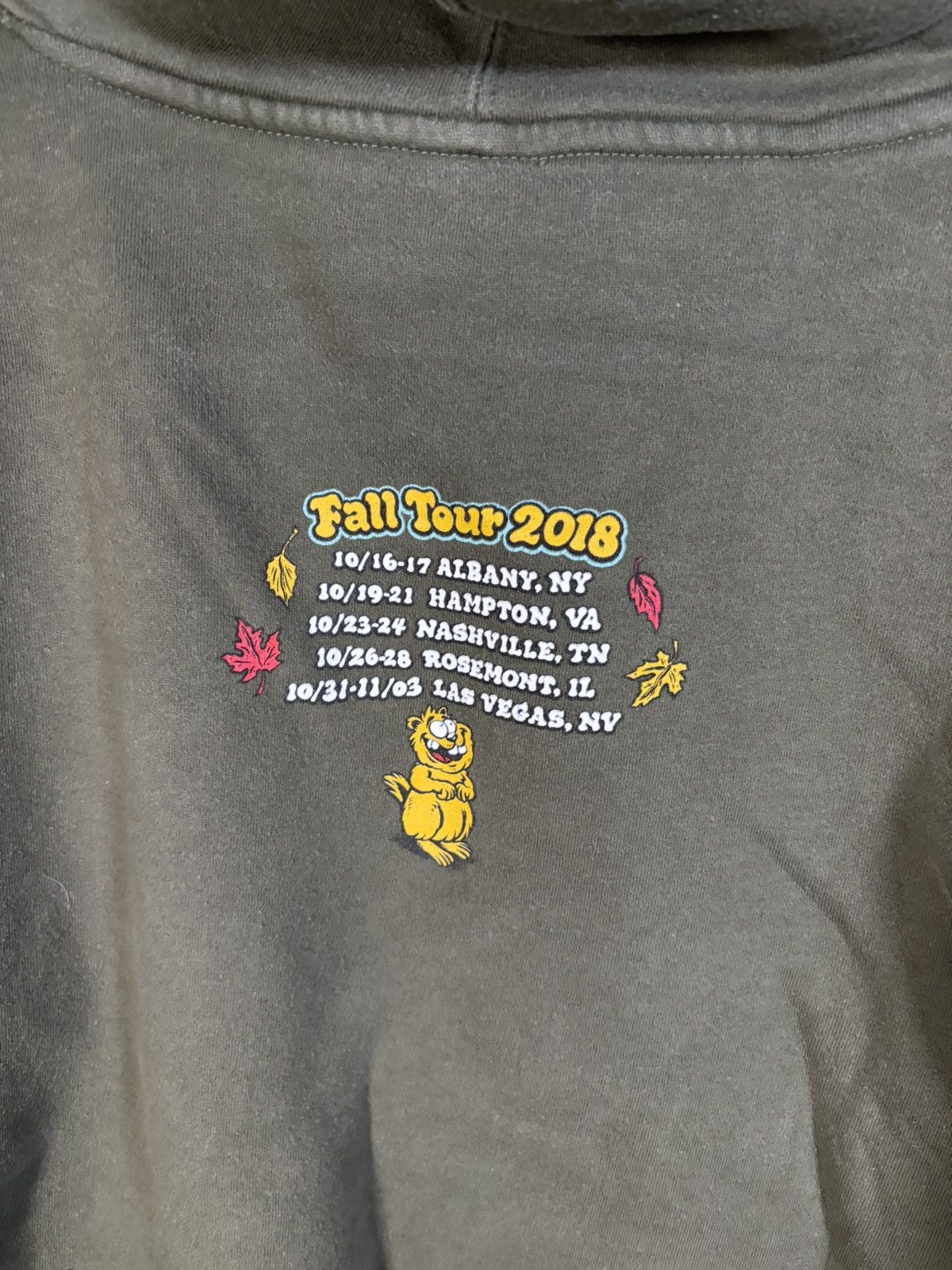 Other Phish Hoodie Green Summer Tour 2017 Full Zip Adult Medium Size US M / EU 48-50 / 2 - 6 Thumbnail