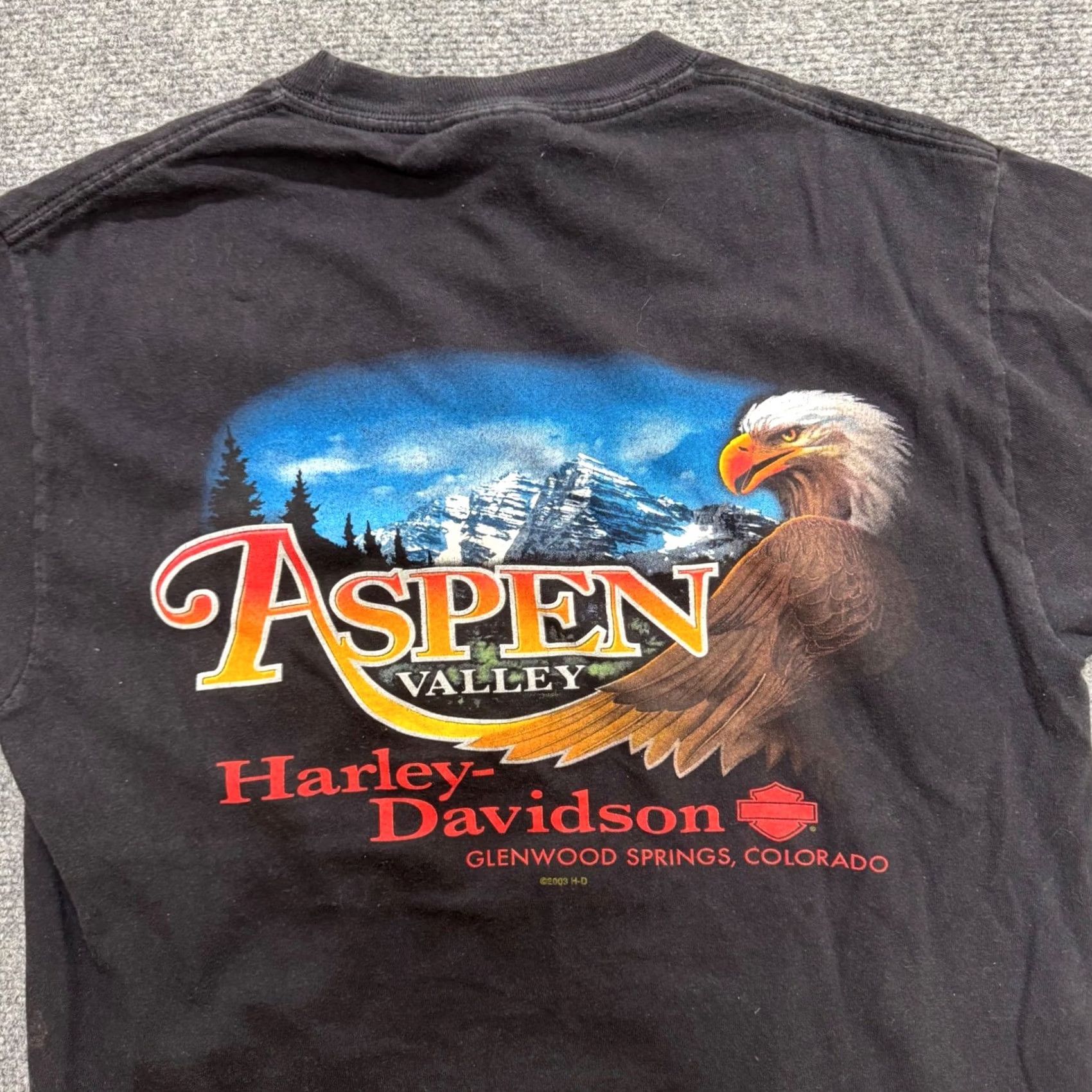 Harley Davidson VINTAGE Harley Davidson T-shirt M Black Men's Y2K Grunge Aspen Eagle Shirt Size US M / EU 48-50 / 2 - 8 Thumbnail