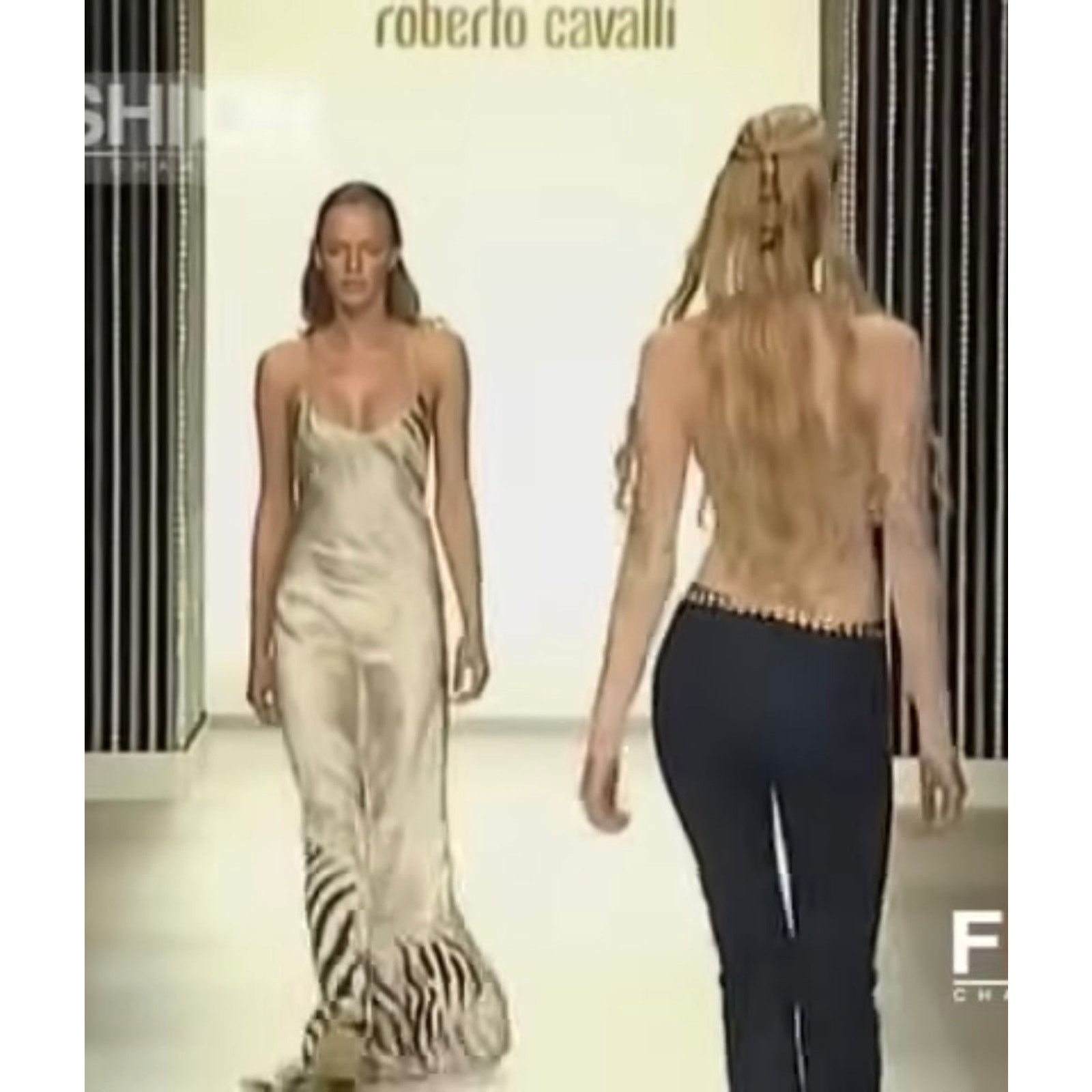 Roberto Cavalli 1999 Roberto Cavalli zebra sheer maxi dress Size M / US 6-8 / IT 42-44 - 2 Thumbnail