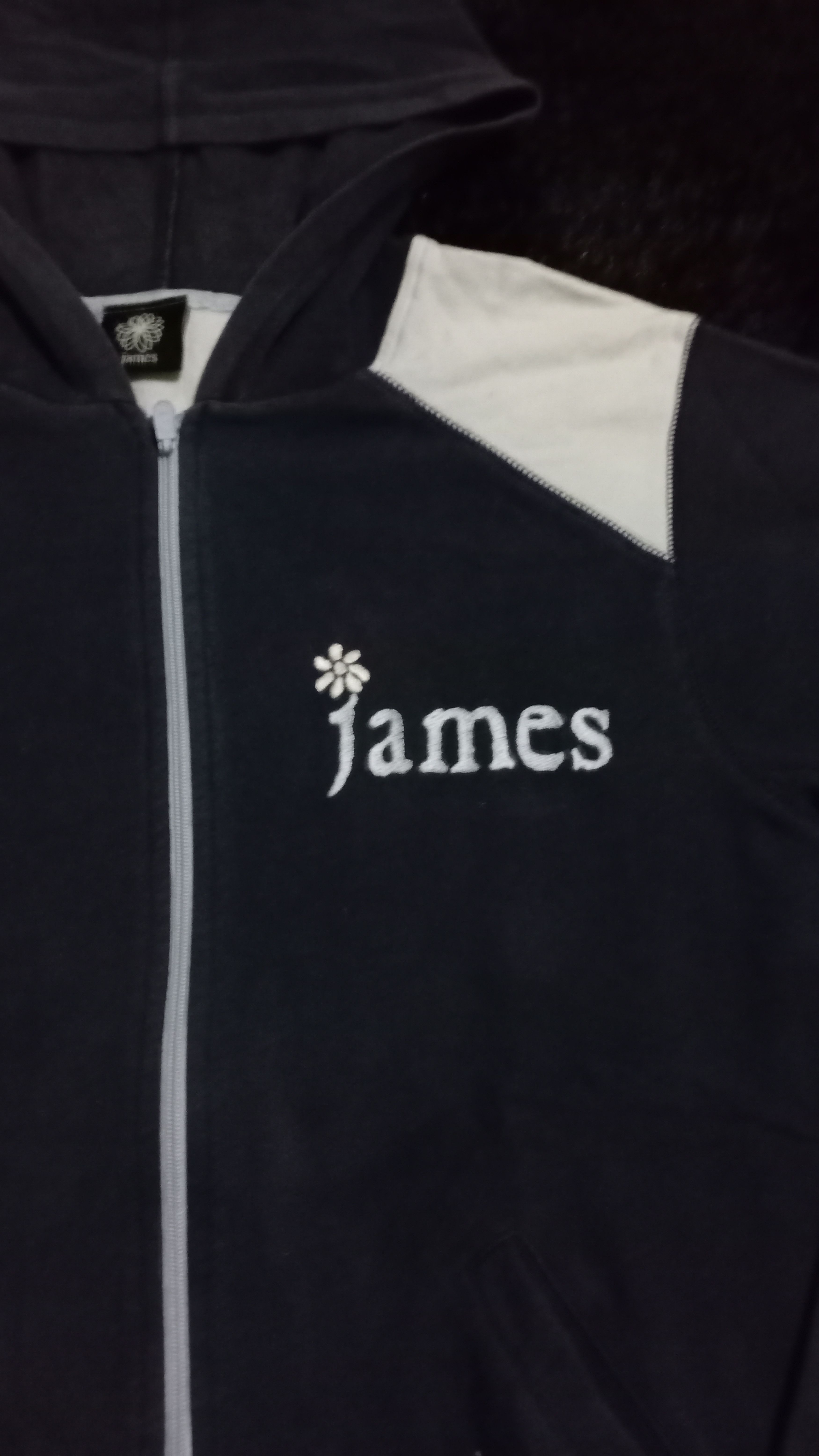 Band Tees × Vintage Vintage James Zip Hoodie,James Band Britpop,Oasis,Blur Size US M / EU 48-50 / 2 - 2 Thumbnail