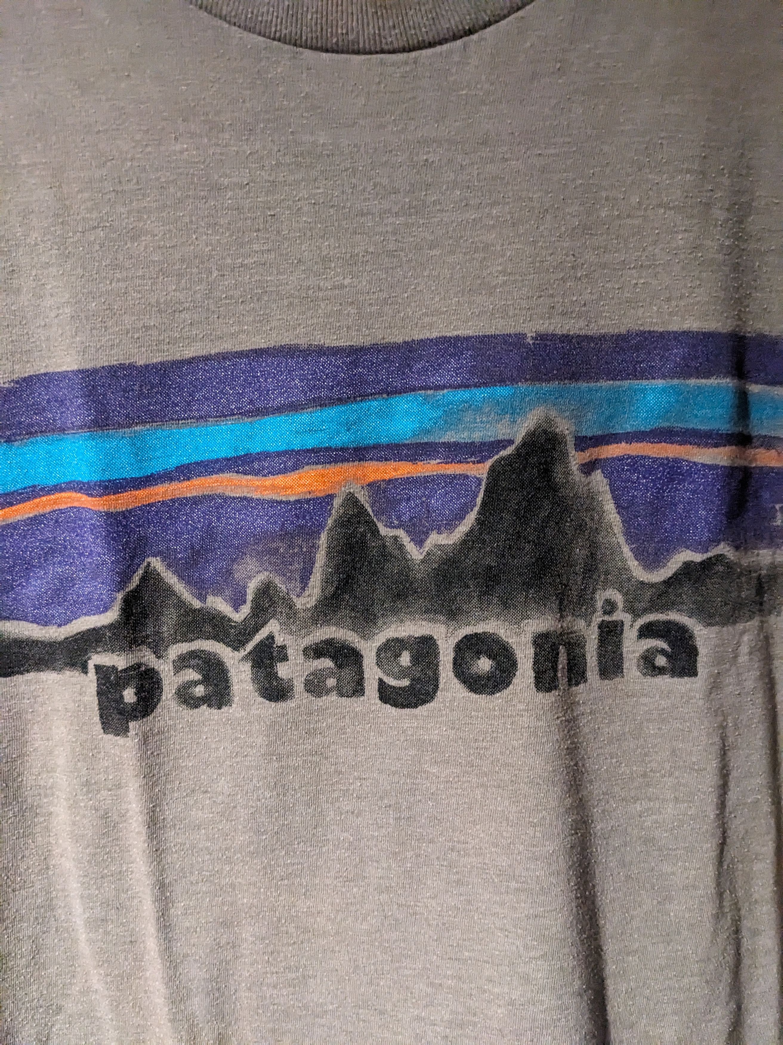 Patagonia Patagonia Legacy Logo Slim Fit Gray X-Large T-Shirt Size US XL / EU 56 / 4 - 2 Thumbnail