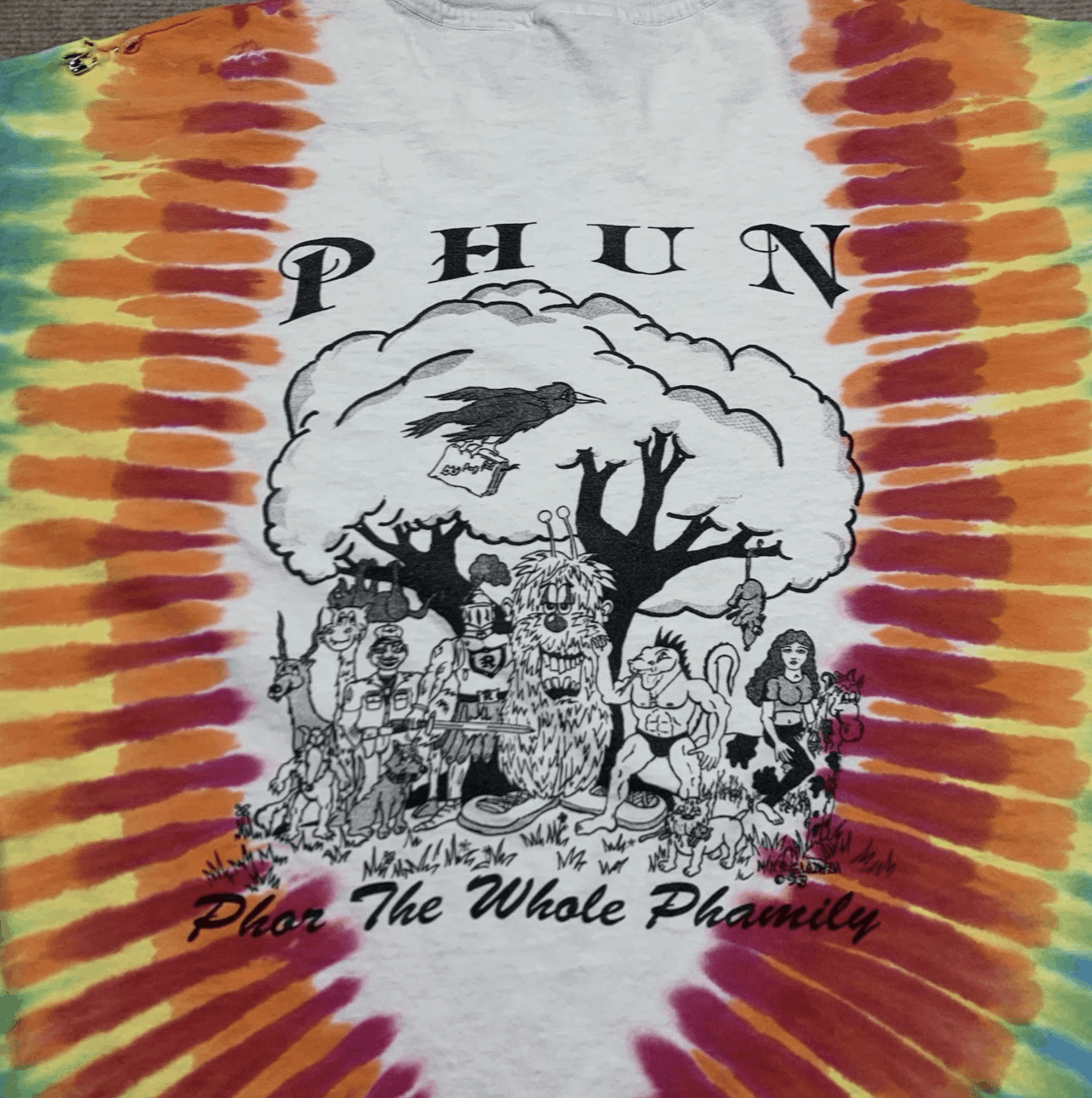 Hanes Phish Phun For Whole Phamily Tie Dye T Shirt XL Vintage 1993 Size US XL / EU 56 / 4 - 8 Thumbnail