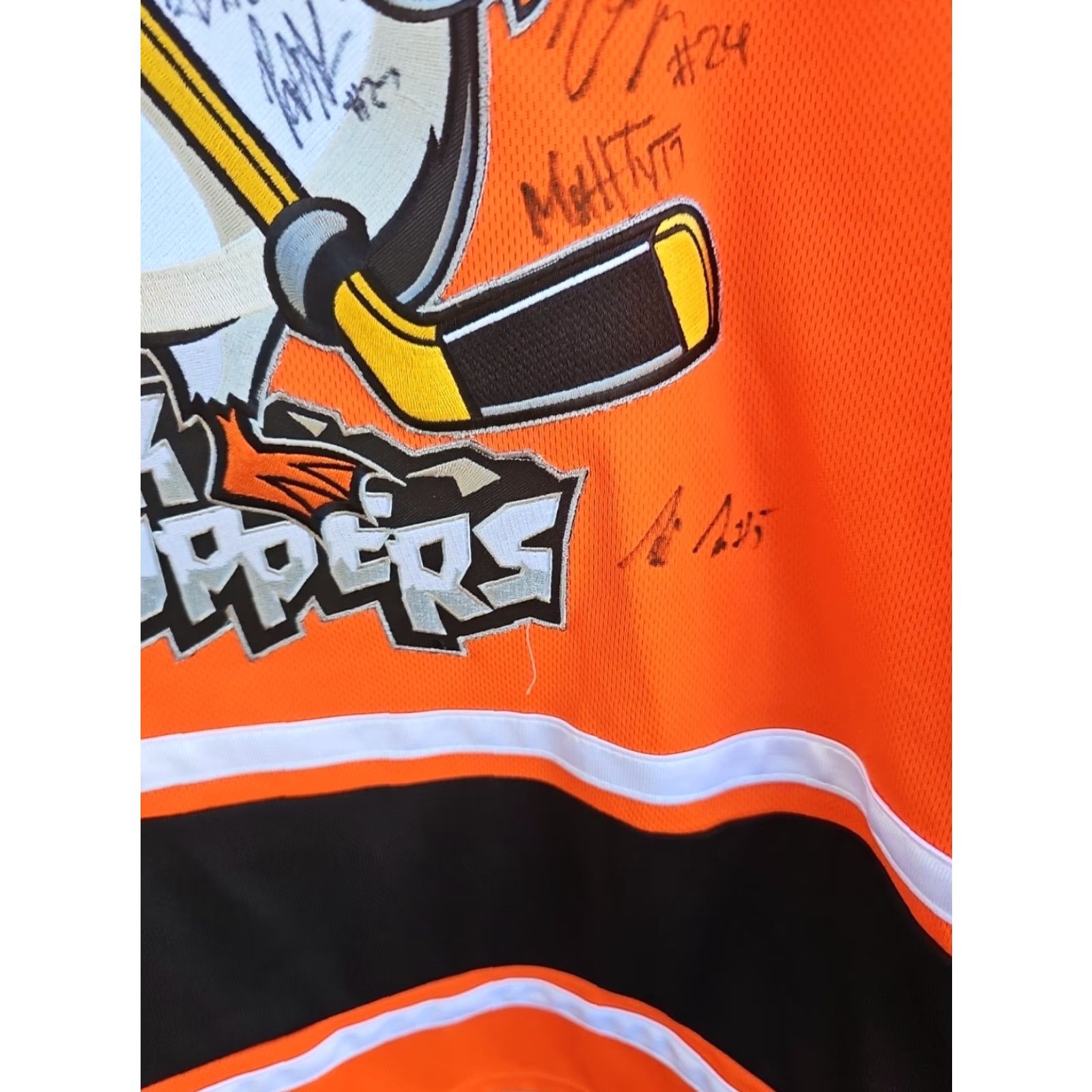 Vintage Signed Jersey Rockhoppers EPHL Hockey JERSEY DIZE MEDIUM Polo Mens Black Cotton Blend, Polyester Embroidered Ot sports 24 Chest 30 Length Size US M / EU 48-50 / 2 - 5 Thumbnail