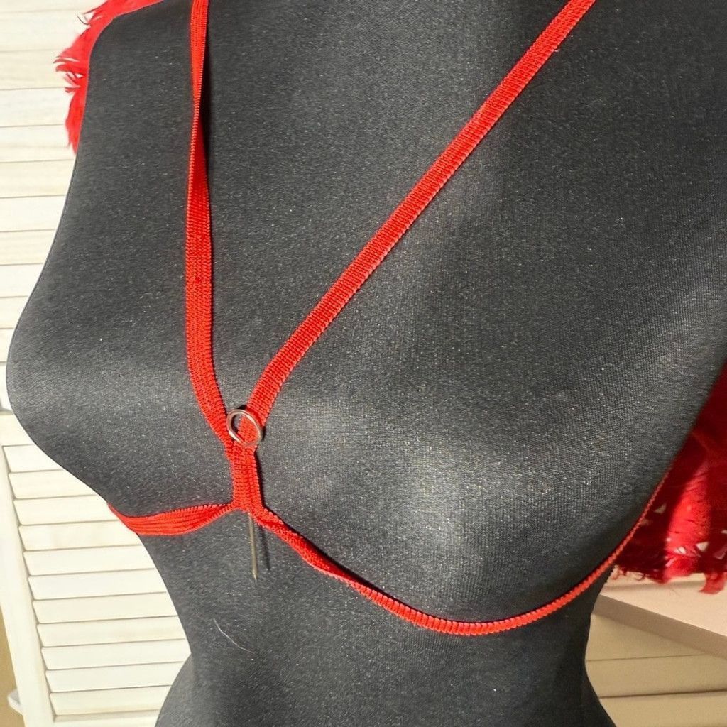 Vintage Feather Devil Angel Wings Costume Backpack-Style Red OS Size ONE SIZE - 5 Thumbnail