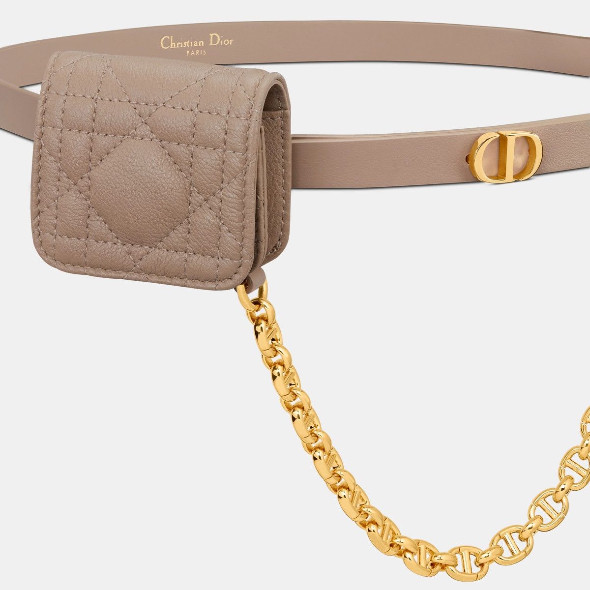 Dior o1bcso1str0125 Beg in Calfskin Size ONE SIZE - 2 Thumbnail
