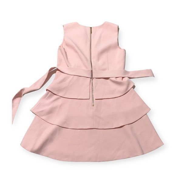 Ted Baker Ted Baker Reinah Sleeveless Tiered Pink Mini Dress Size 4(L) Size L / US 10 / IT 46 - 9 Thumbnail