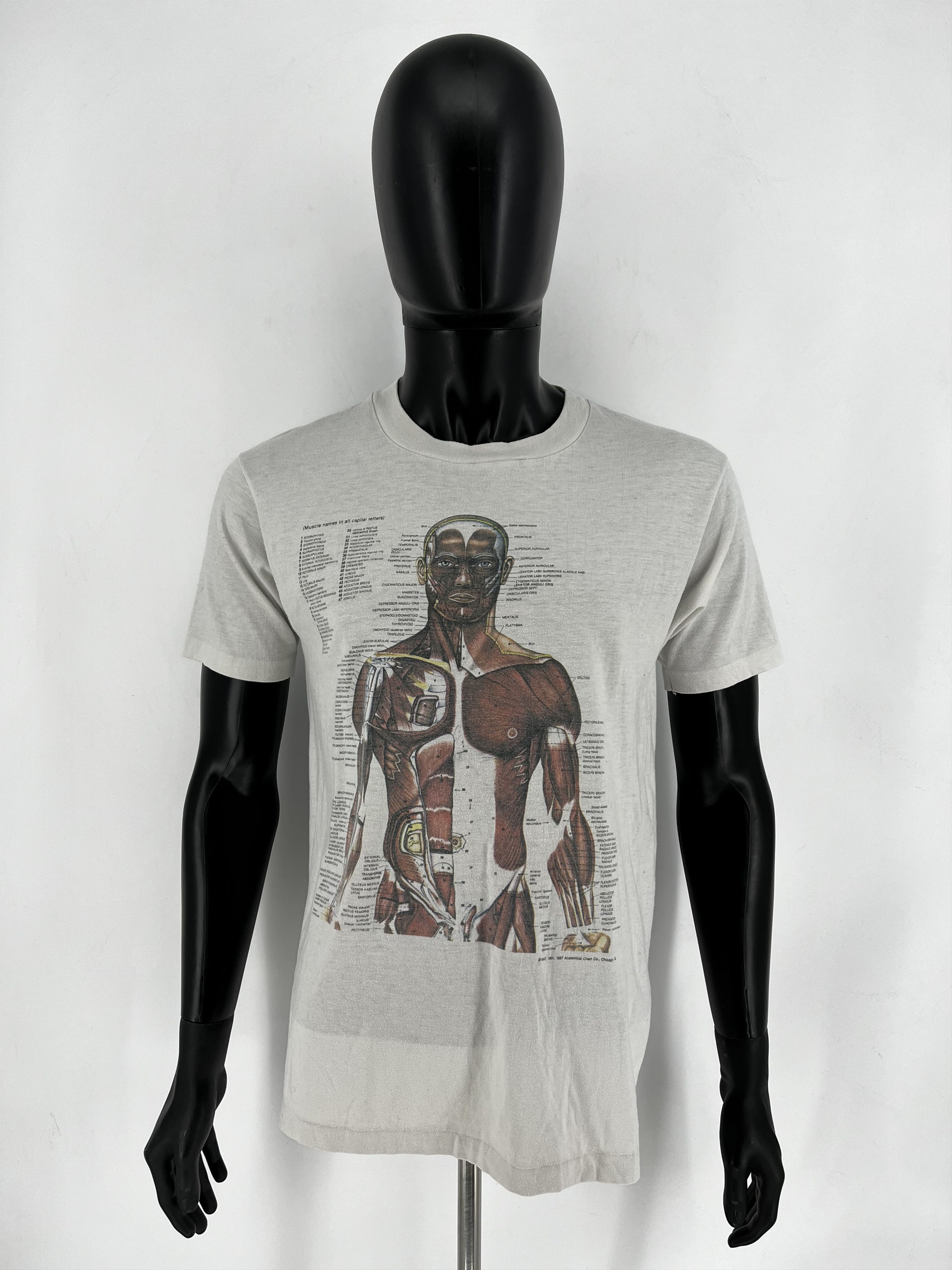 Nirvana Anatomy Muscle Shirt Same Print as Kurt Cobain Rare Medical Size US L / EU 52-54 / 3 - 2 Thumbnail