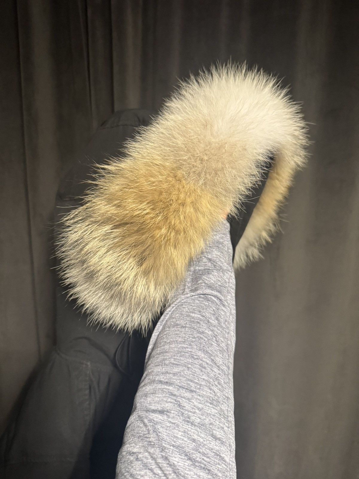 Canada Goose Canada Goose Carson Parka Size US S / EU 44-46 / 1 - 6 Thumbnail