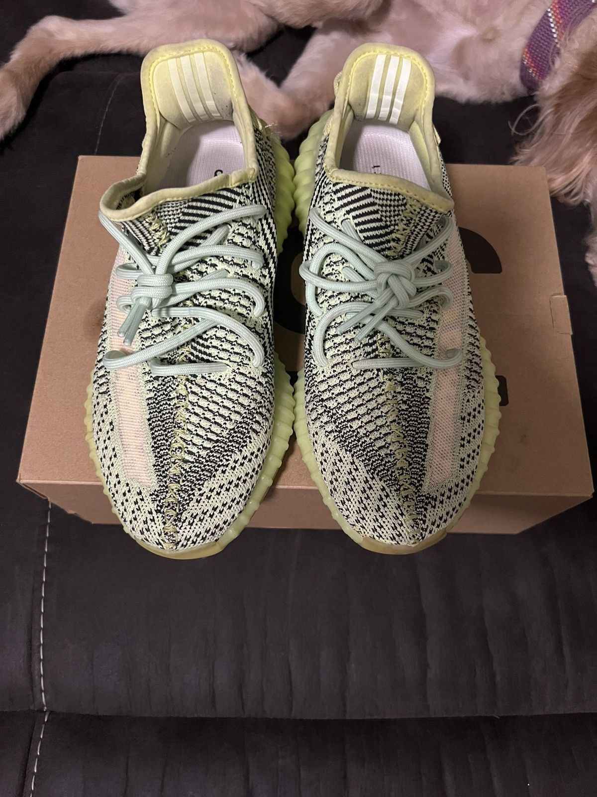 Yeezy Yeezy Boost 350 V2 Size US 9 / EU 42 - 2 Thumbnail