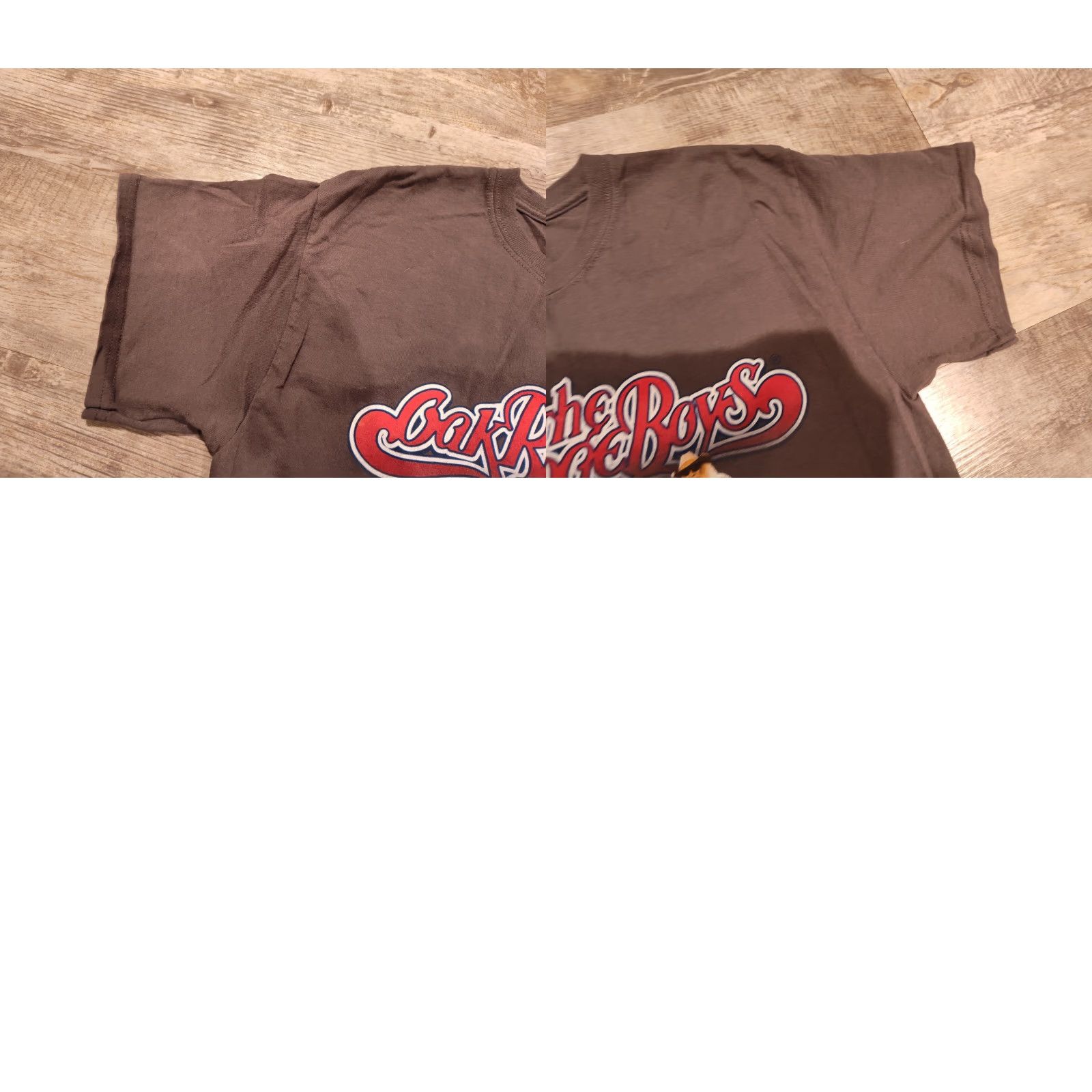 Gildan GILDAN The Oak Ridge Boys Celebration Tour T-Shirt Grayish Brown Men Medium Graphic Print Music Band Size US M / EU 48-50 / 2 - 8 Thumbnail