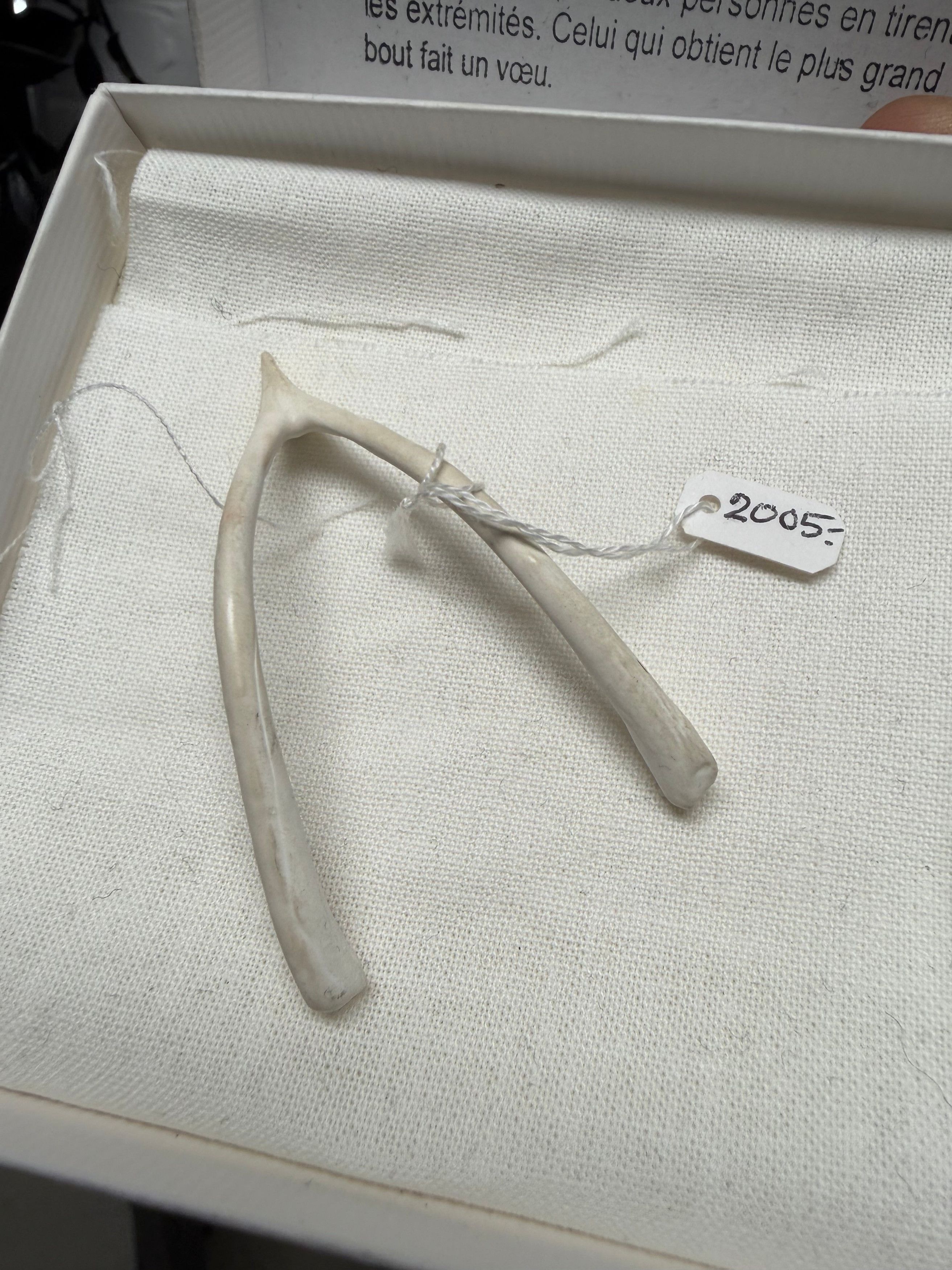 Maison Margiela 2005 Maison Martin Margiela Painted White ‘Wishbone’ Friends and Family Gift Size ONE SIZE - 2 Thumbnail