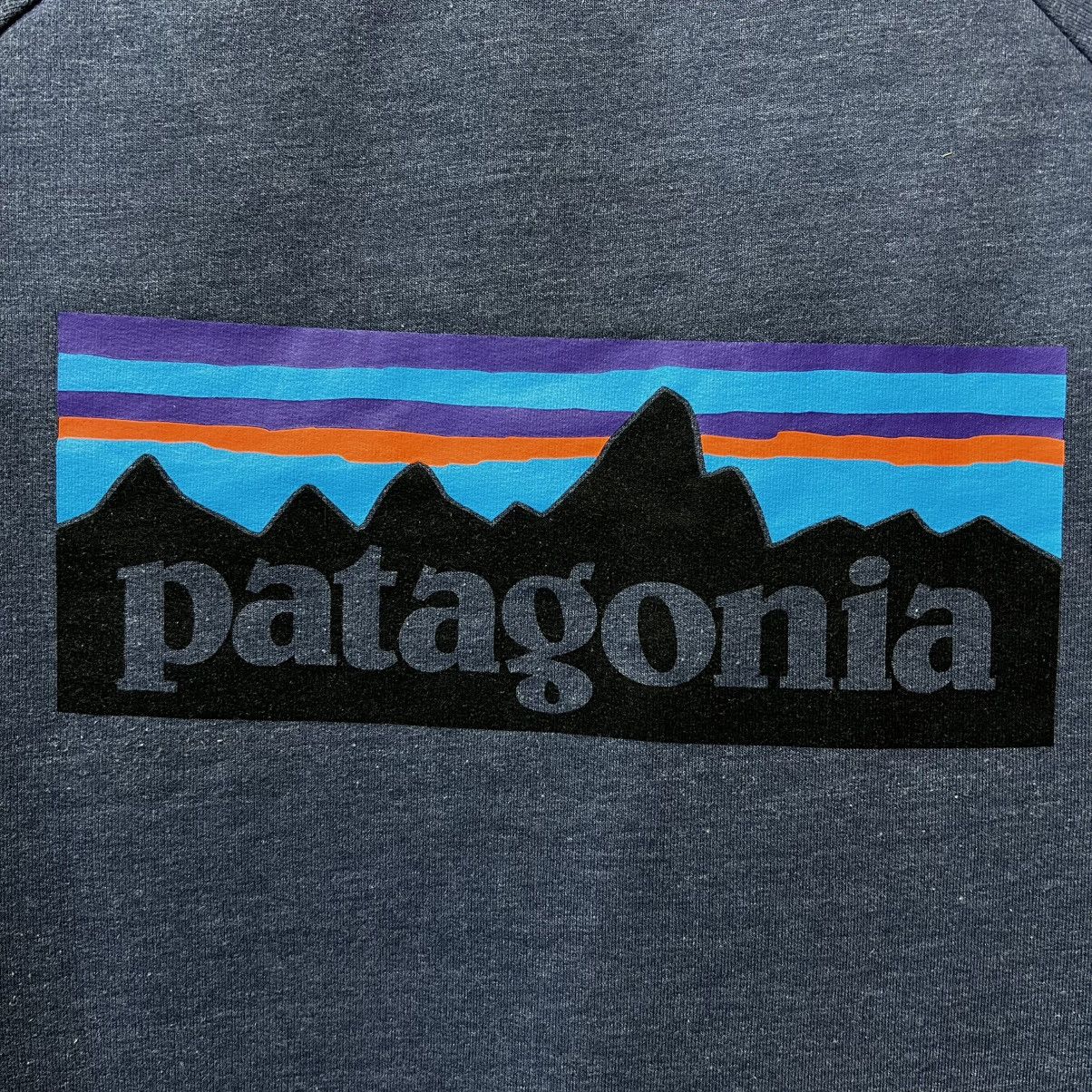Patagonia Patagonia sweatshirt big logo men’s Size US L / EU 52-54 / 3 - 4 Thumbnail