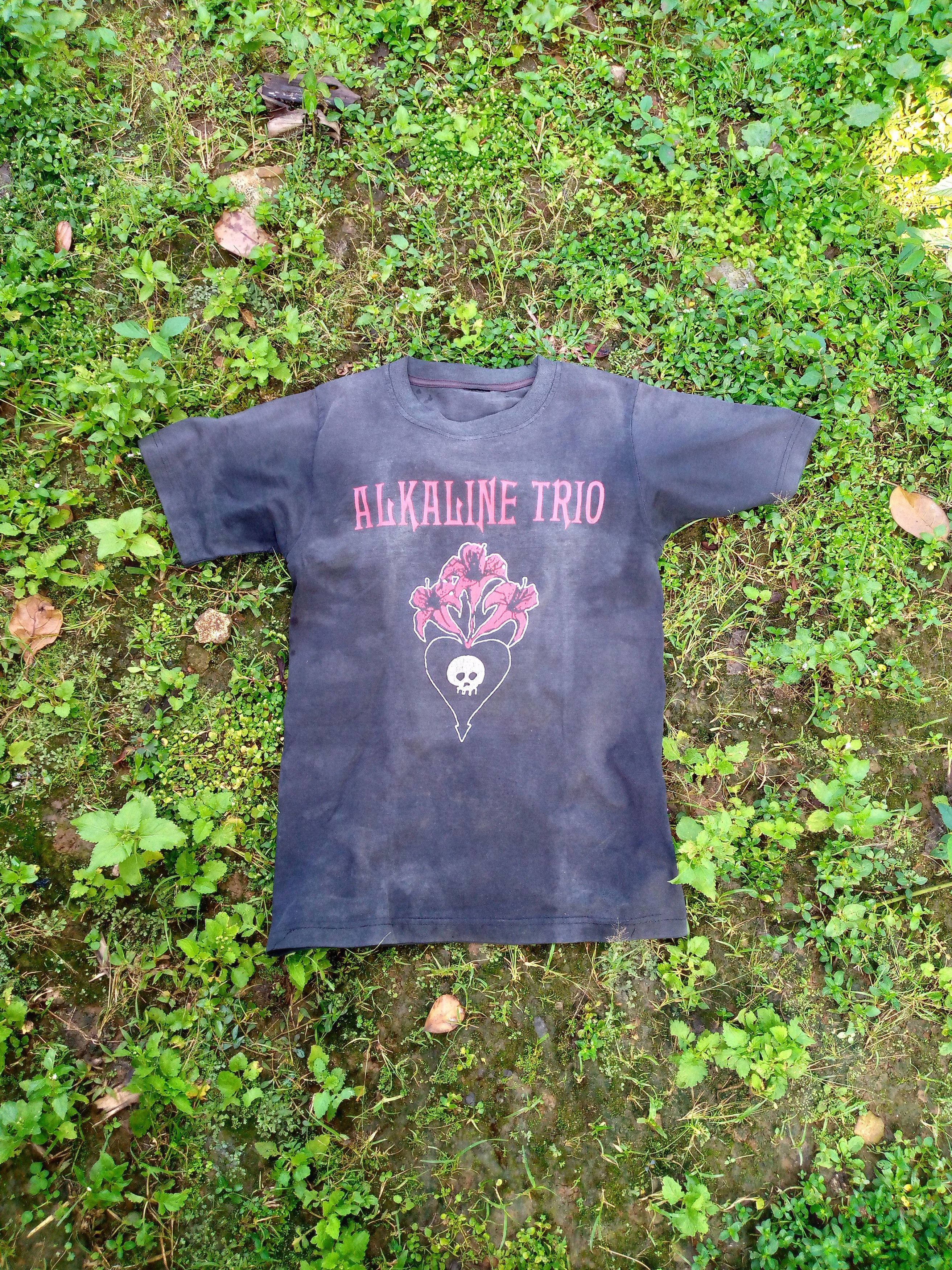 Band Tees Vtg Band Tees Alkaline Trio Size US S / EU 44-46 / 1 - 1 Thumbnail