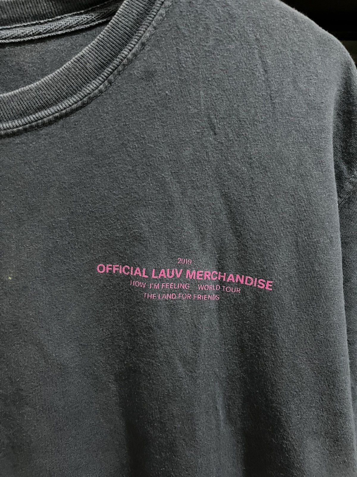 Band Tees × Comfort Colors 💸BINDINGOFFER💸Lauv tour 2019 tee Size US M / EU 48-50 / 2 - 4 Thumbnail