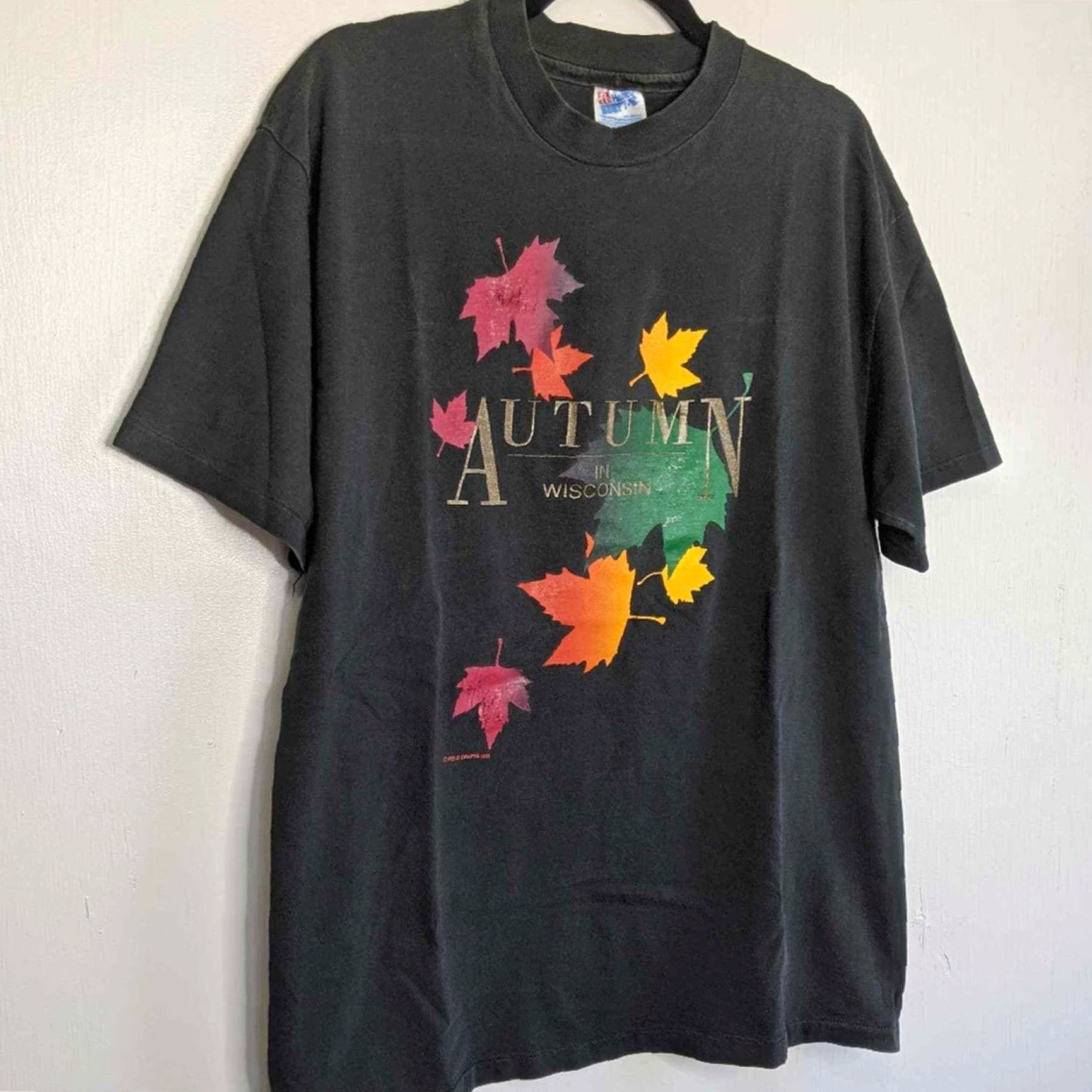 Vintage VINTAGE Wisconsin Autumn Leaves Shirt L Adult Black Men/Women Unisex Hanes VTG WI Bonn Nature 90s Size US L / EU 52-54 / 3 - 3 Thumbnail