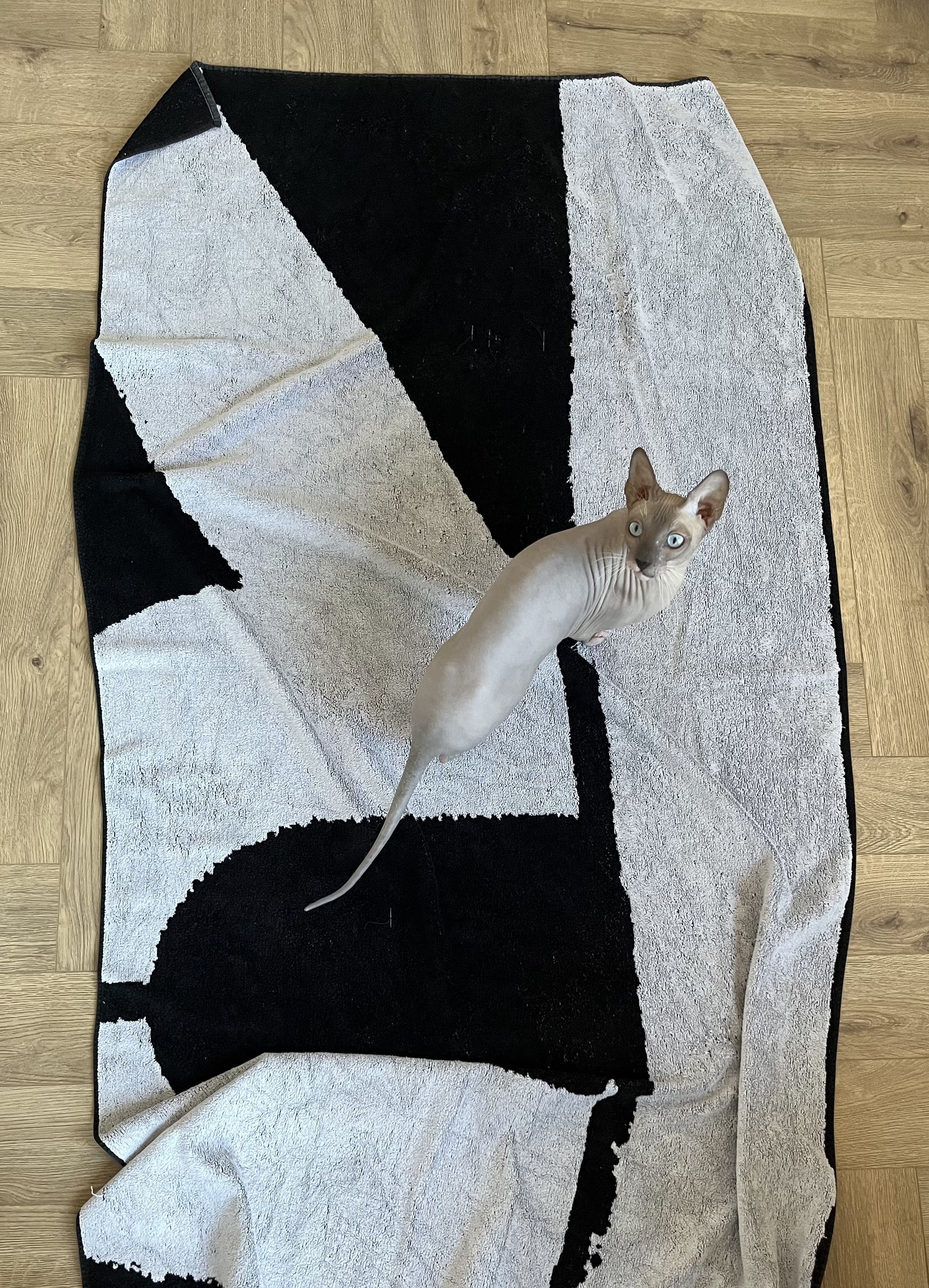 Raf Simons R logo beach towel Size ONE SIZE - 2 Thumbnail