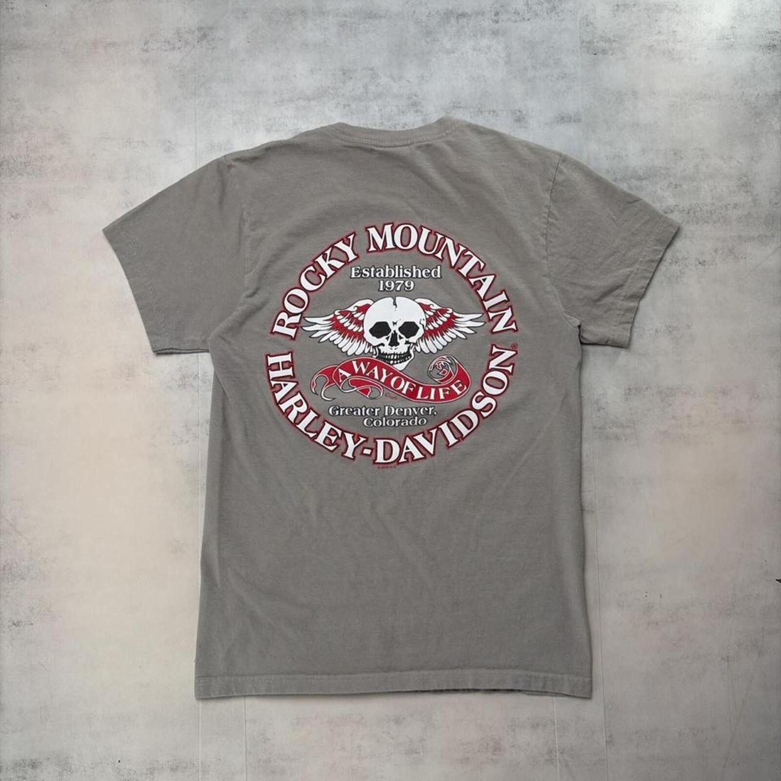 Harley Davidson Y2K Grey Harley Davidson Grunge Rocky Mountain Biker T-Shirt Size US S / EU 44-46 / 1 - 2 Thumbnail