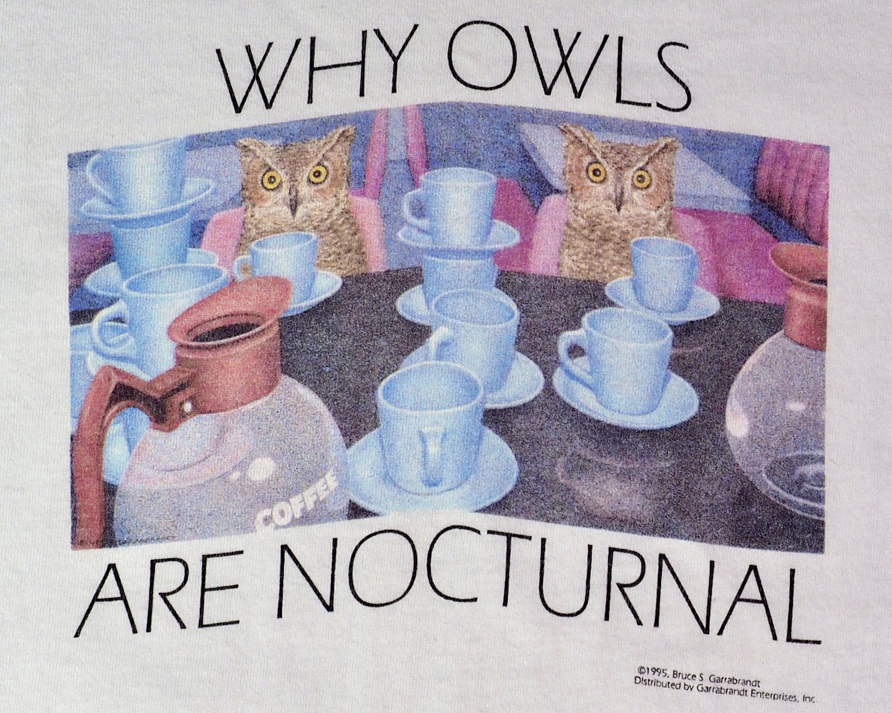 Vintage Vintage 1995 "Why Owls Are Nocturnal" Coffee Themed Shirt L Size US L / EU 52-54 / 3 - 3 Thumbnail