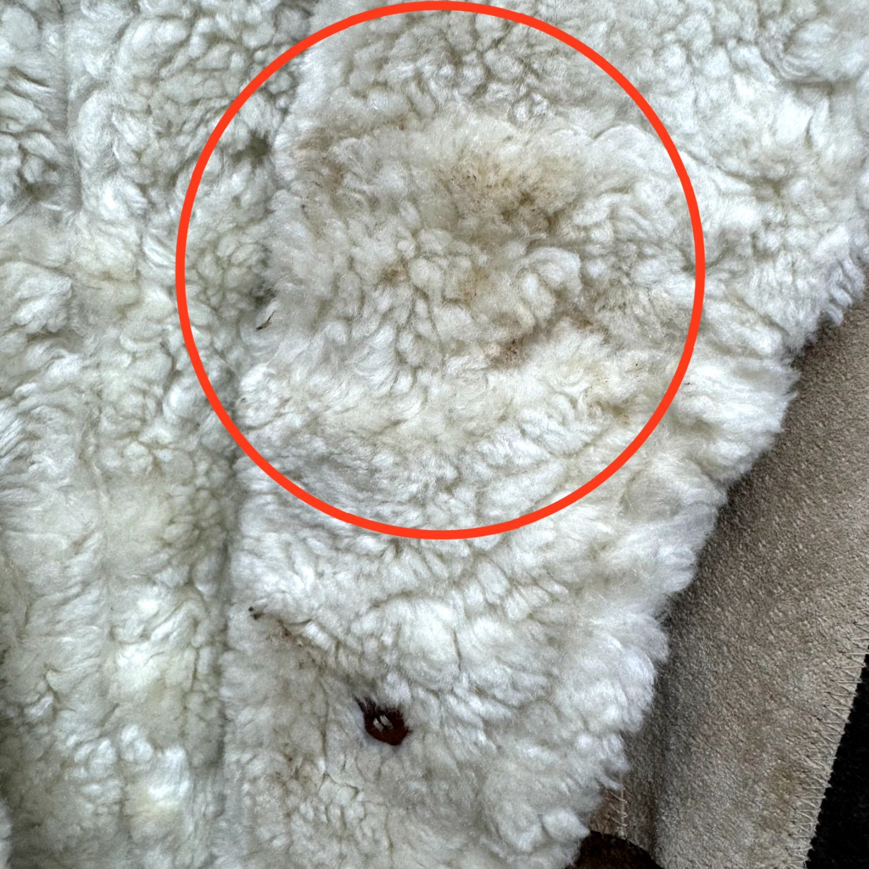Vintage Y2K Vintage Afghan Penny Lane Jacket Coat Patchwork Leather Faux Fur Bratz Wet SEal Jacket XS Womens Suede Beige Be... Size S / US 4 / IT 40 - 6 Thumbnail