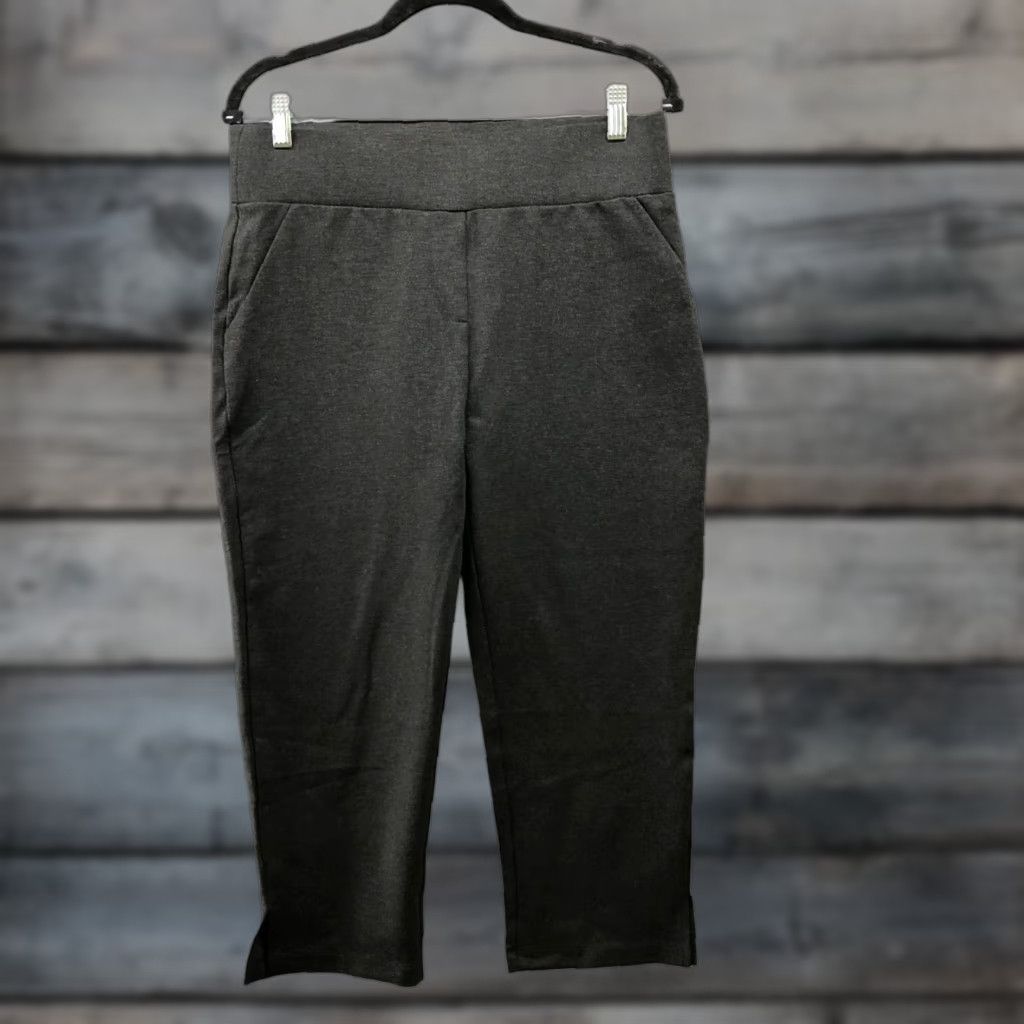 Vintage Tapata Pull On Capri Pants Womens L Gray Inseam 20.5" Ponte Stretchy Capris Flat Front Silk? Size 36" / US 14 / IT 50 - 1 Thumbnail