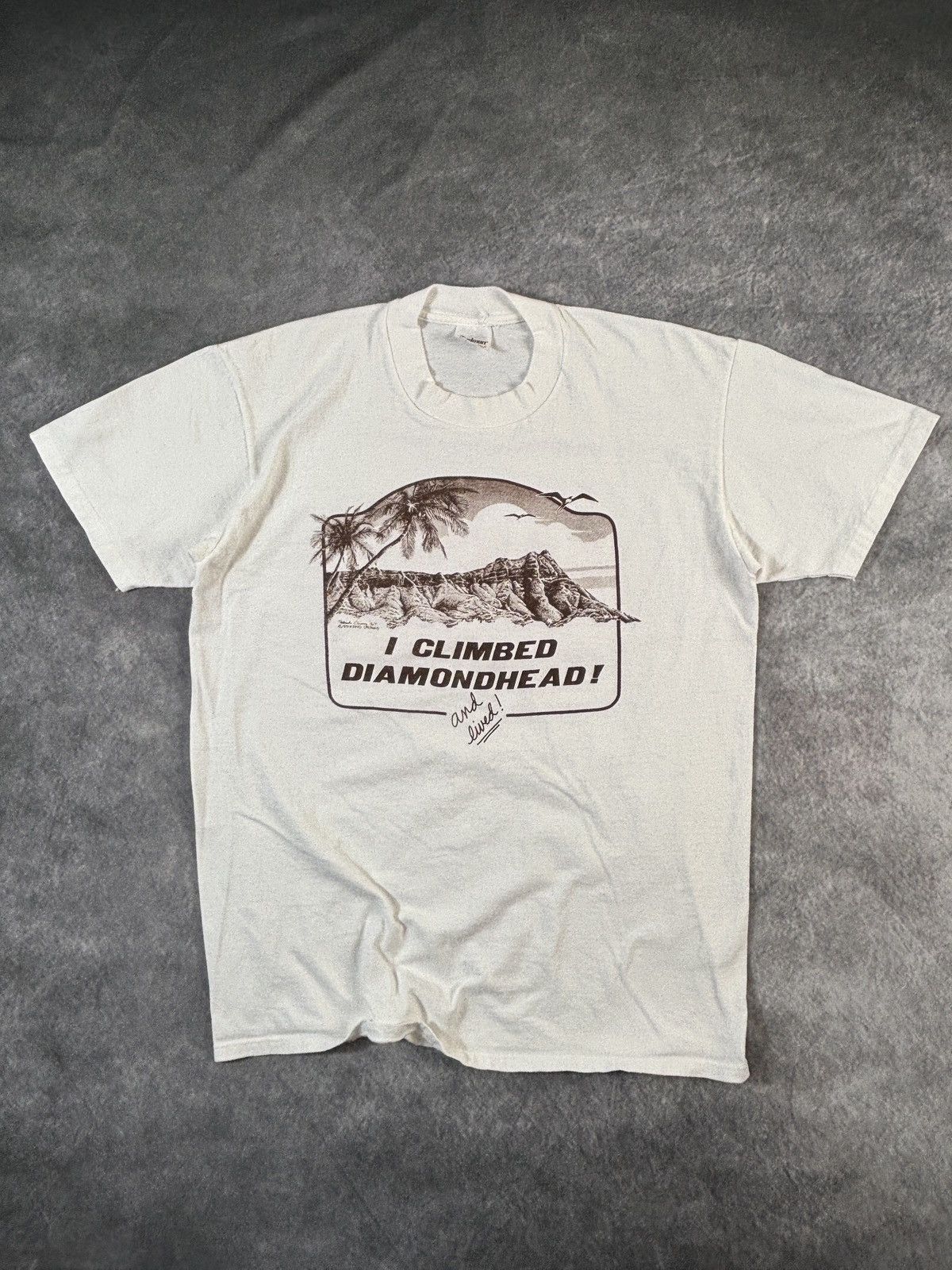 Vintage Vintage I Climbed Diamond Head Tee Made in USA Stedman Size US M / EU 48-50 / 2 - 1 Thumbnail