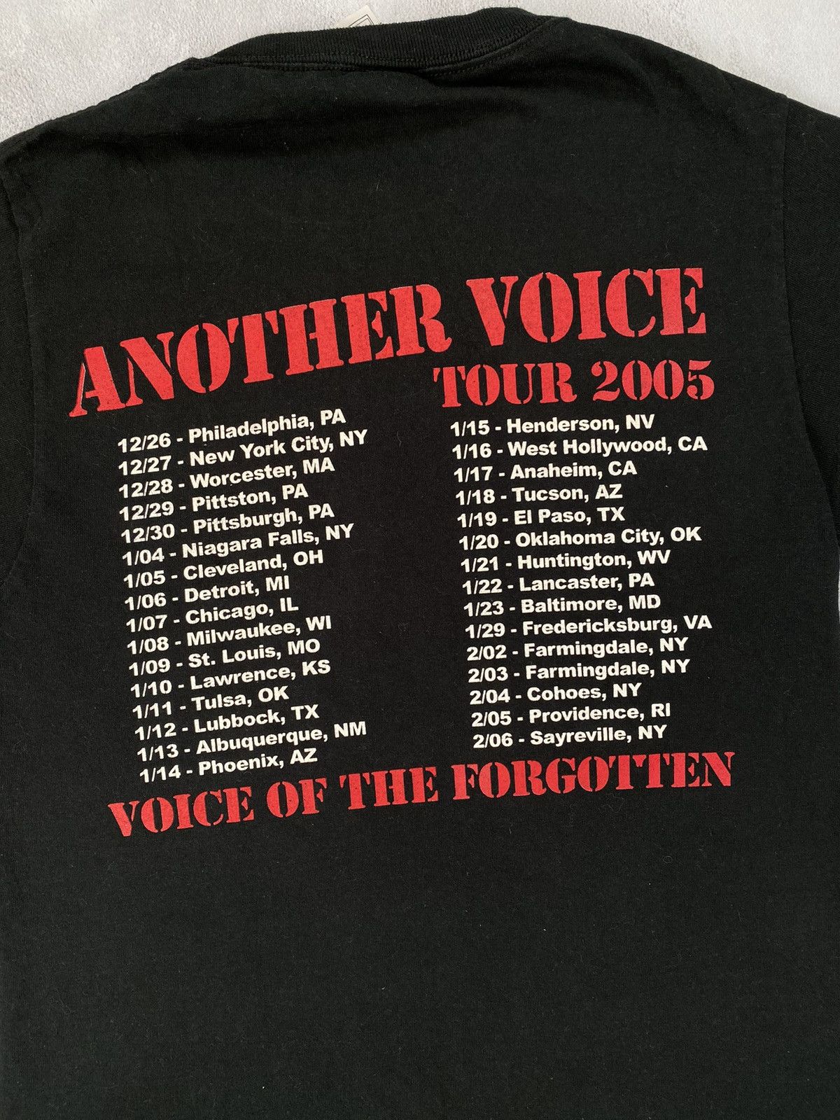 Band Tees × Vintage Vintage T-Shirt Agnostic Front - Another Voice Tour 2005 y Size US S / EU 44-46 / 1 - 3 Thumbnail