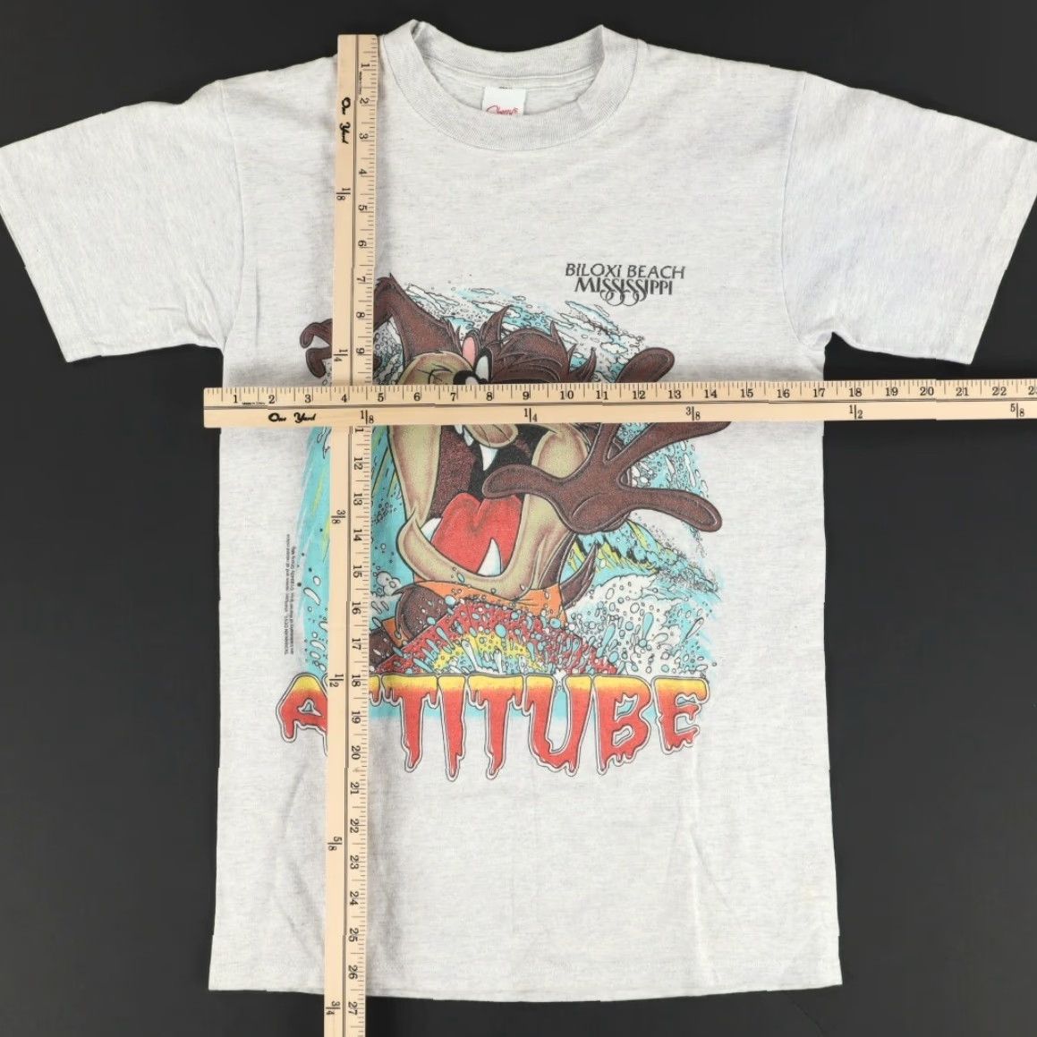 Vintage VTG Sherry's Best Tasmanian Devil Attitube Boogie Board Solid T-Shirt Gray Men's S Size US S / EU 44-46 / 1 - 3 Thumbnail