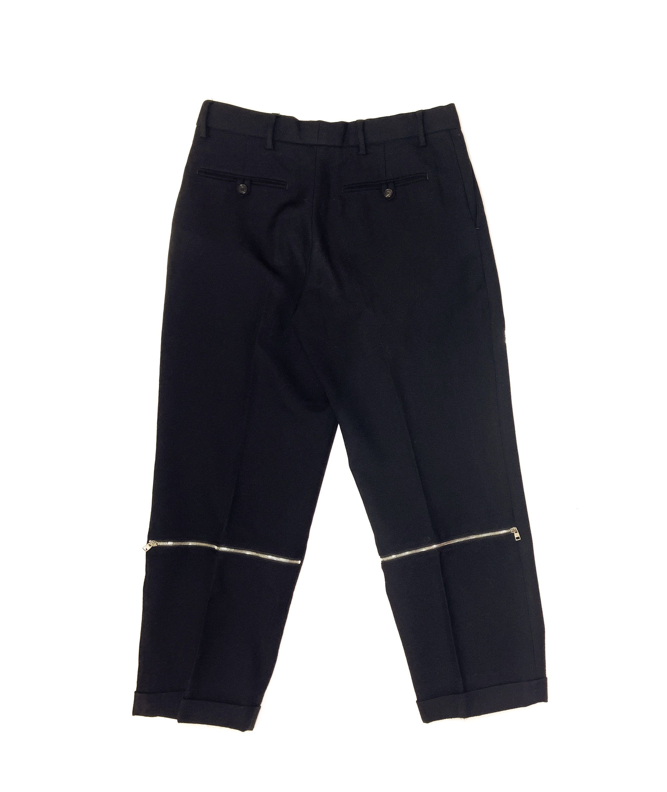 Alexander McQueen Alexander McQueen wool zipper pants Size US 32 / EU 48 - 1 Thumbnail