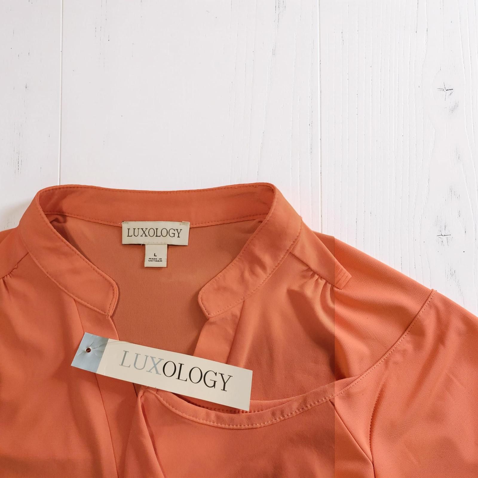Other Luxology Sleeveless Blouse Size Large in Apricot - New With Size L / US 10 / IT 46 - 6 Thumbnail
