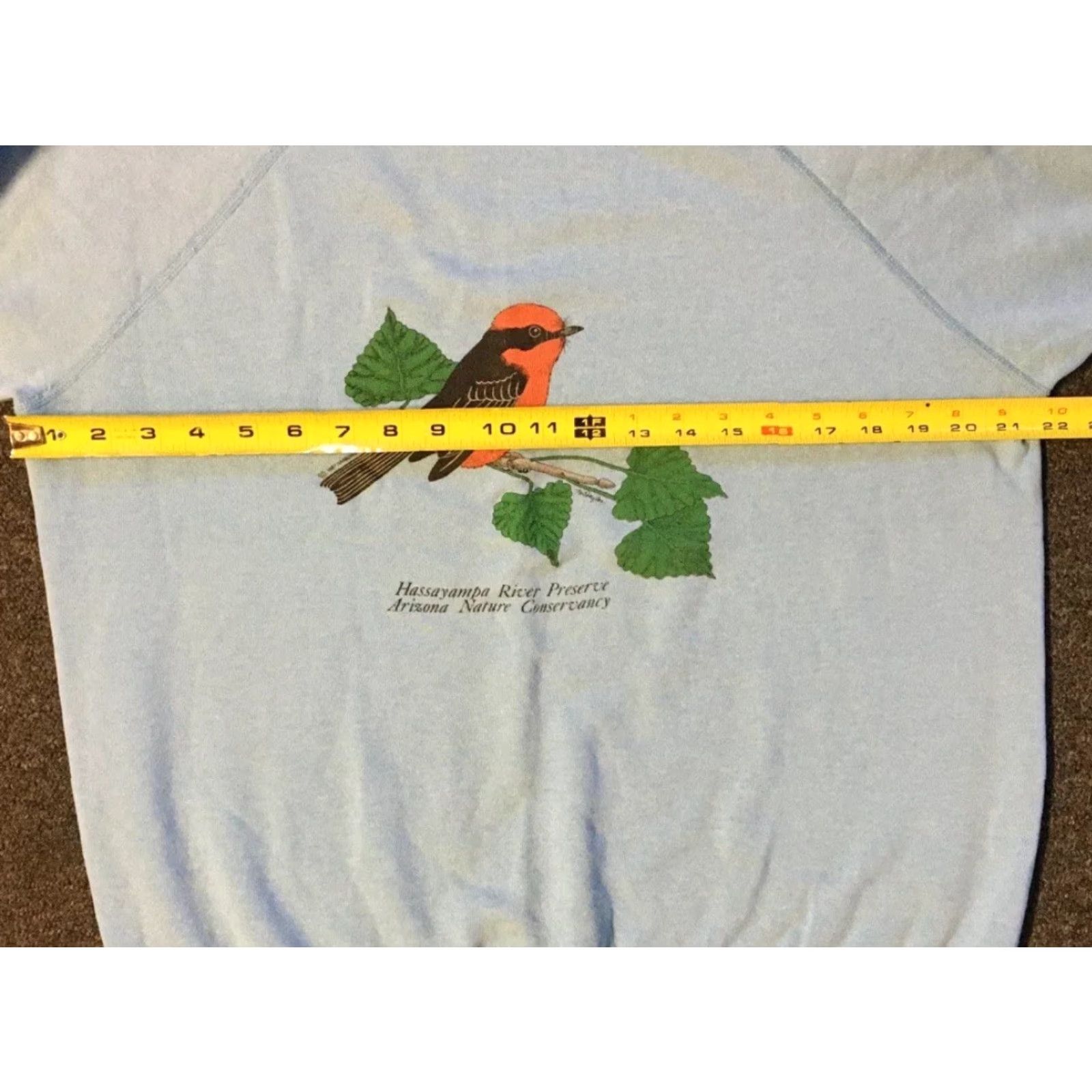 Hanes VINTAGE Arizona Nature Conservancy Bird Sweatshirt M USA Animal Art Grunge 90s Shirt Men M Blue Hanes Crew Neck Long Sleeve Size US M / EU 48-50 / 2 - 7 Thumbnail