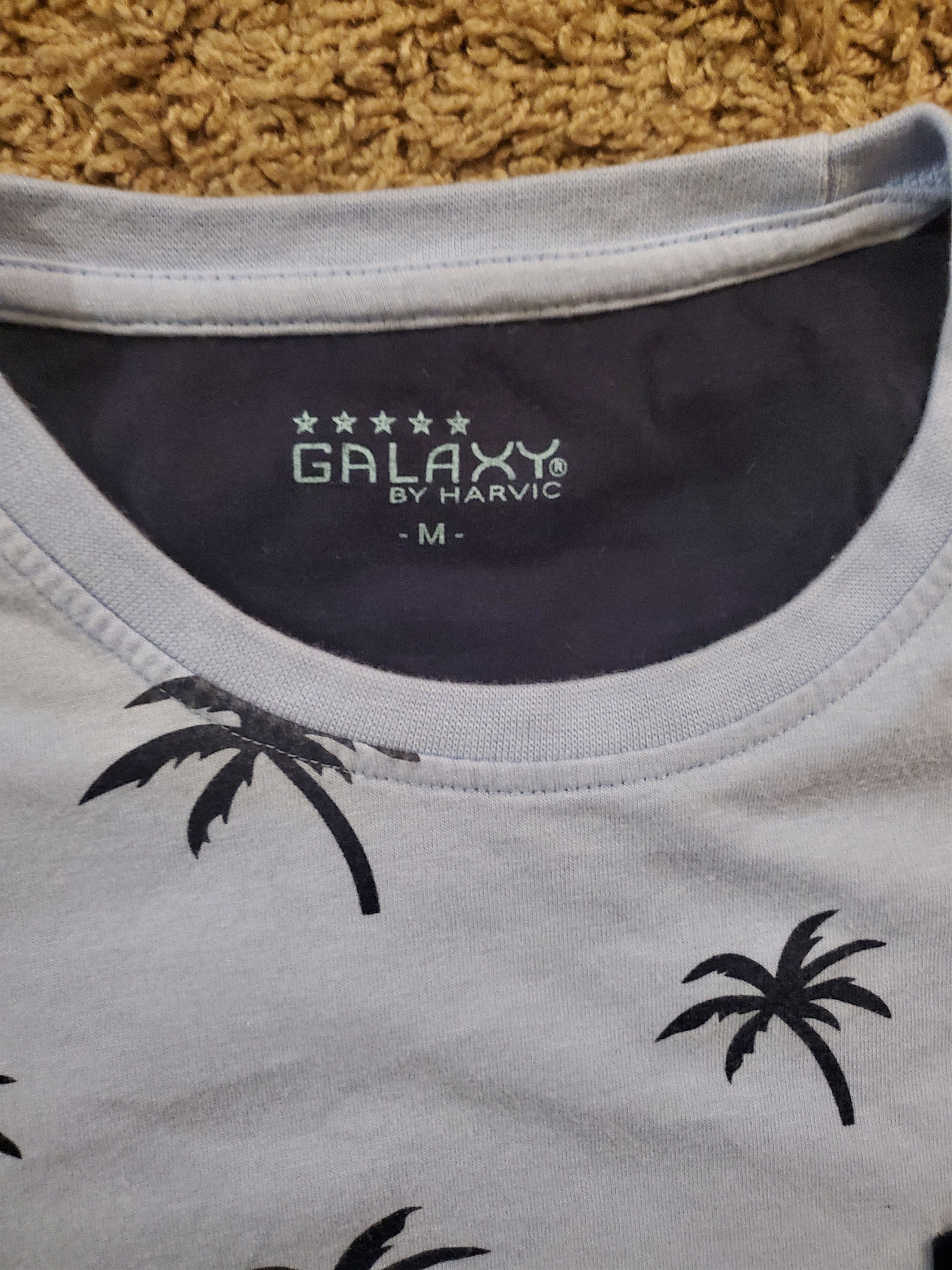 Other Galaxy by Harvic Powder Blue Palm Tree Print Tee Size US M / EU 48-50 / 2 - 2 Thumbnail