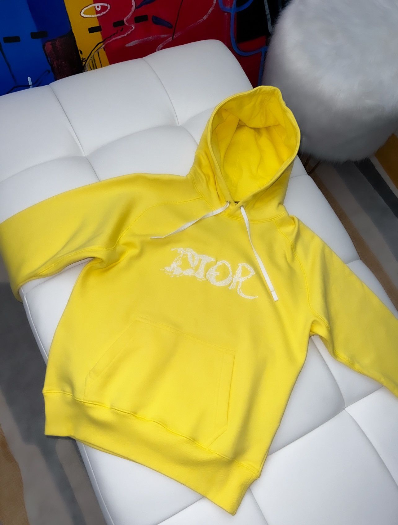 Dior Dior x Peter Doig logo hoodie Grailed