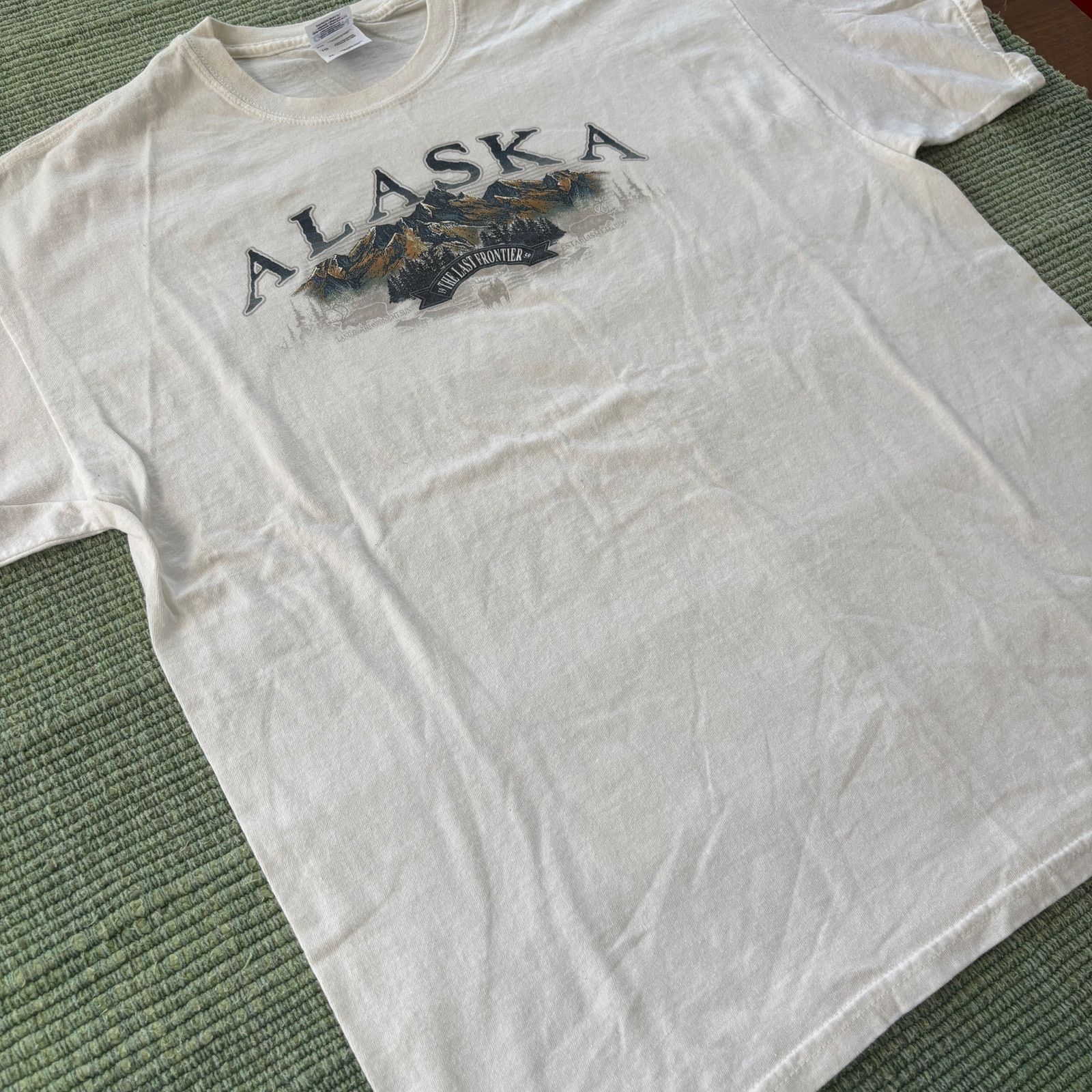 Gildan Vintage Y2K Alaska Cotton Tee Shirt Sz XL Size US XL / EU 56 / 4 - 6 Thumbnail