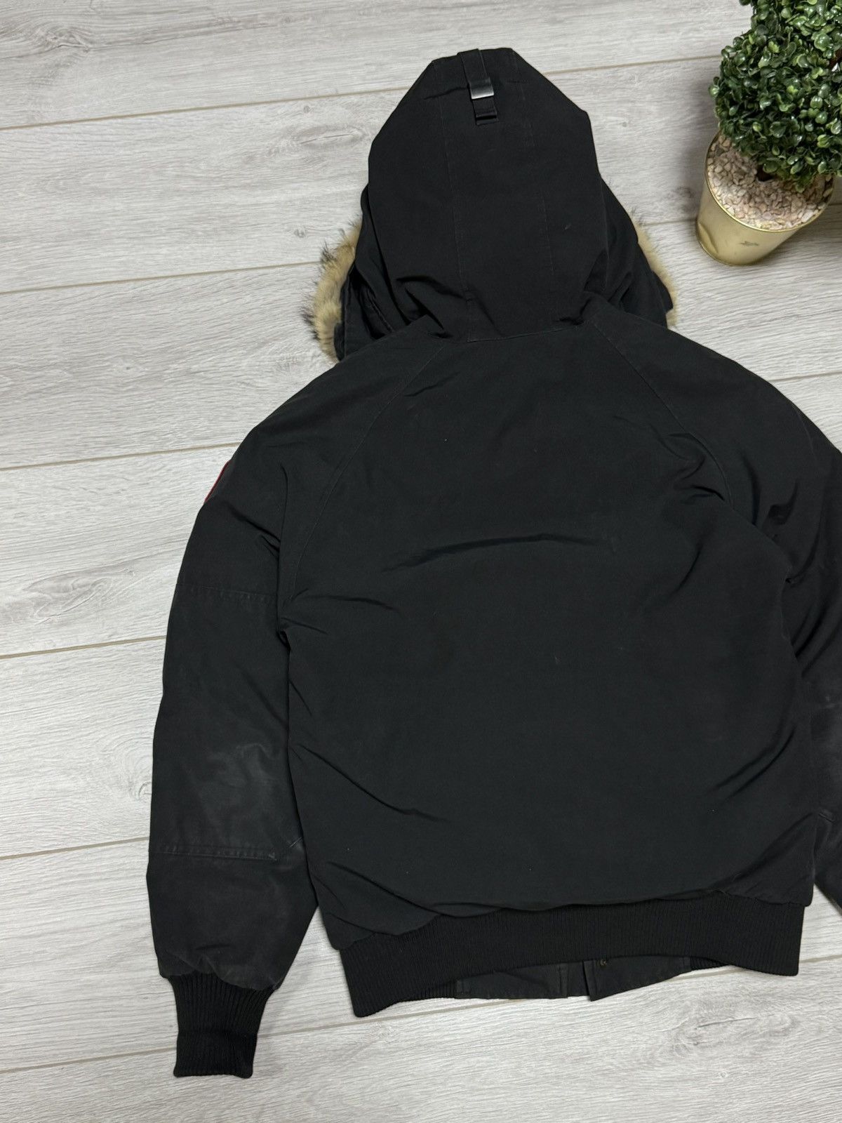 Canada Goose Canada Goose chilliwack bomber fur jacket down Size US S / EU 44-46 / 1 - 11 Thumbnail