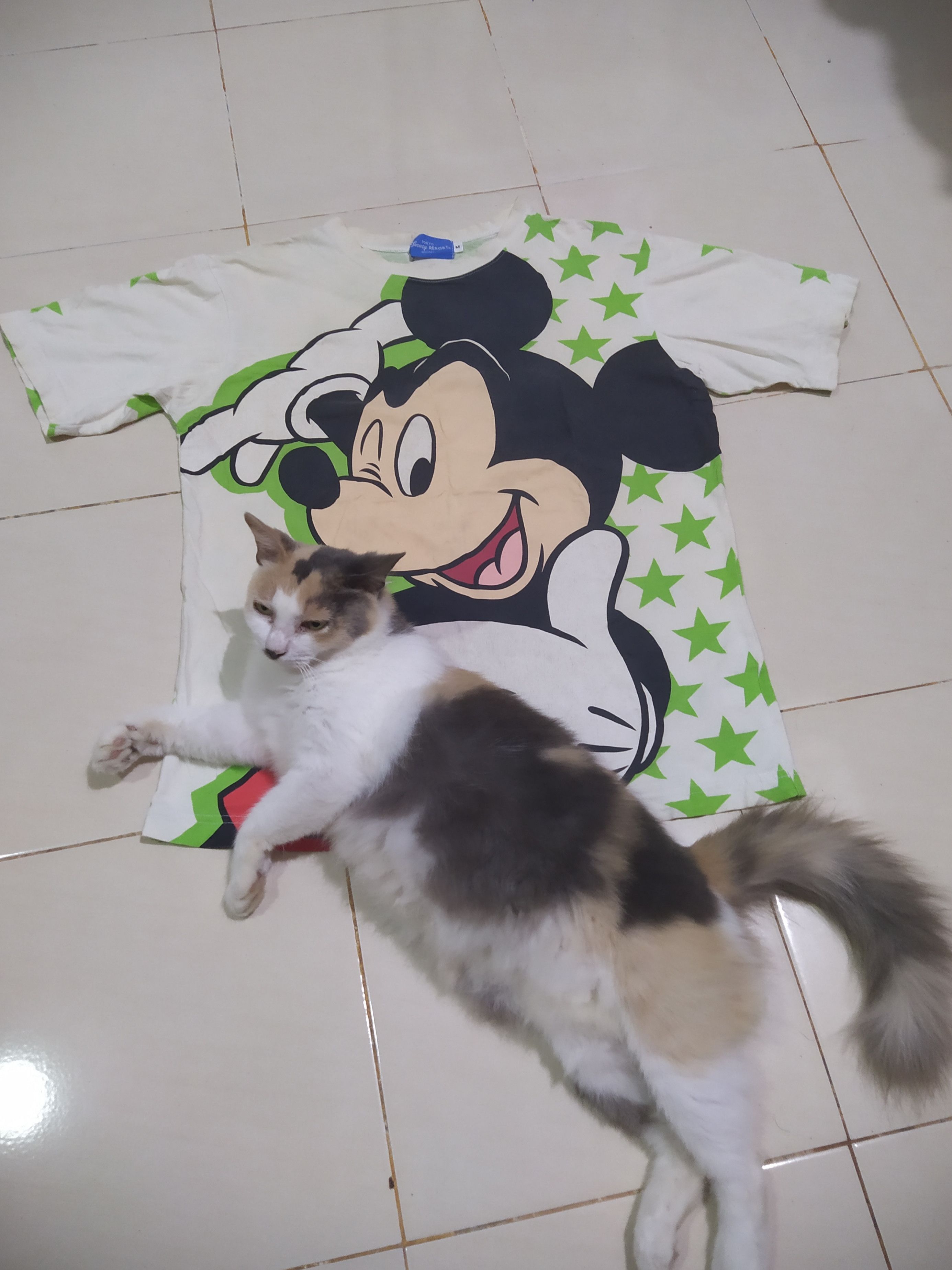 Disney Mickey Mouse Disney Tokyo ovp Size US M / EU 48-50 / 2 - 8 Thumbnail