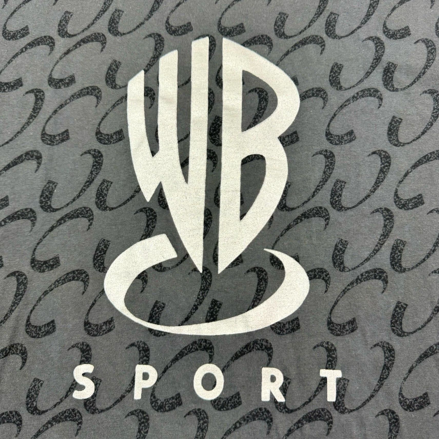 Vintage VINTAGE Warner Bros. Sport T Shirt Adult Large Gray All Over Print Graphic Size US L / EU 52-54 / 3 - 2 Thumbnail