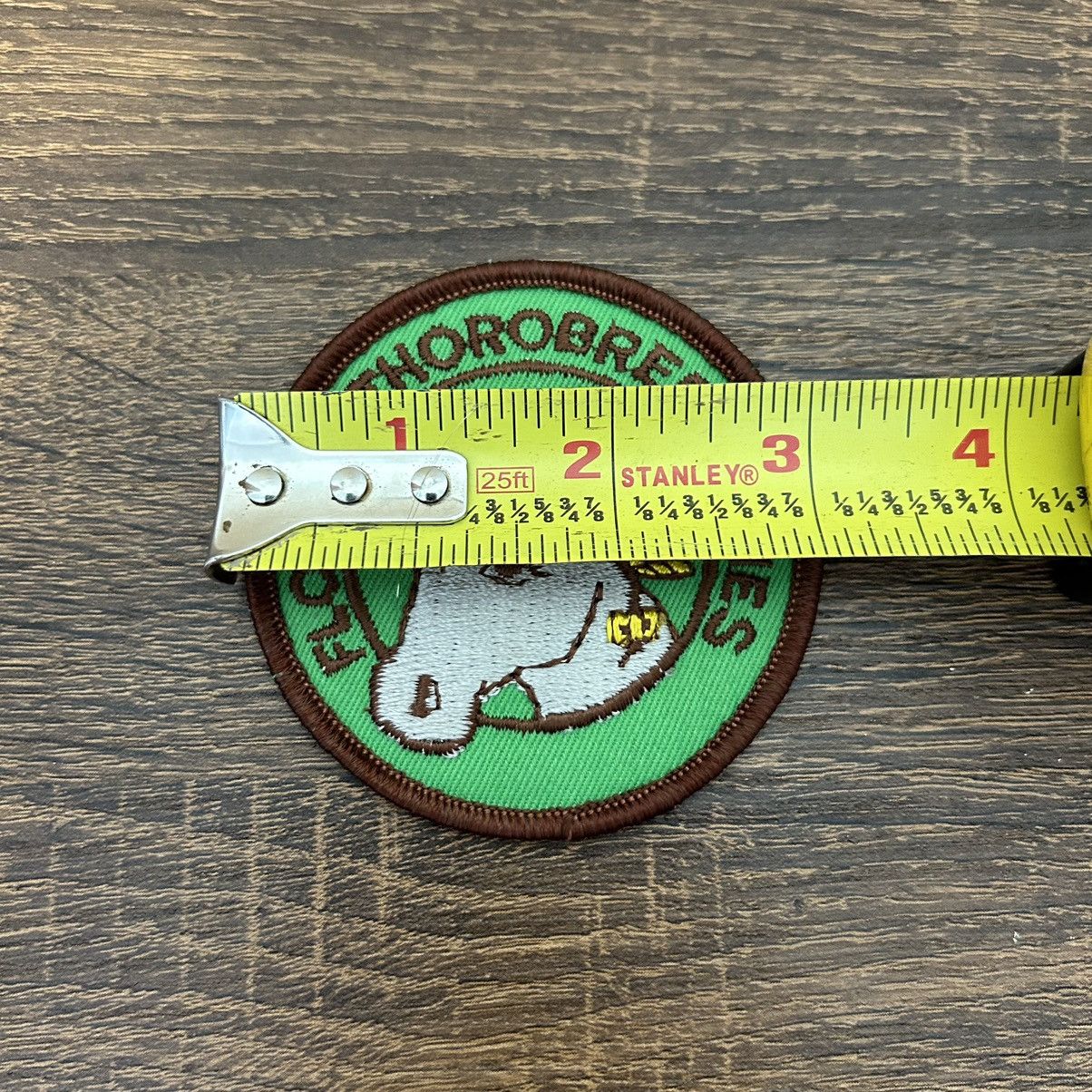 Vintage Vintage Florida Fillies Horse Patch Thoroughbred Sew Patch Size ONE SIZE - 3 Thumbnail