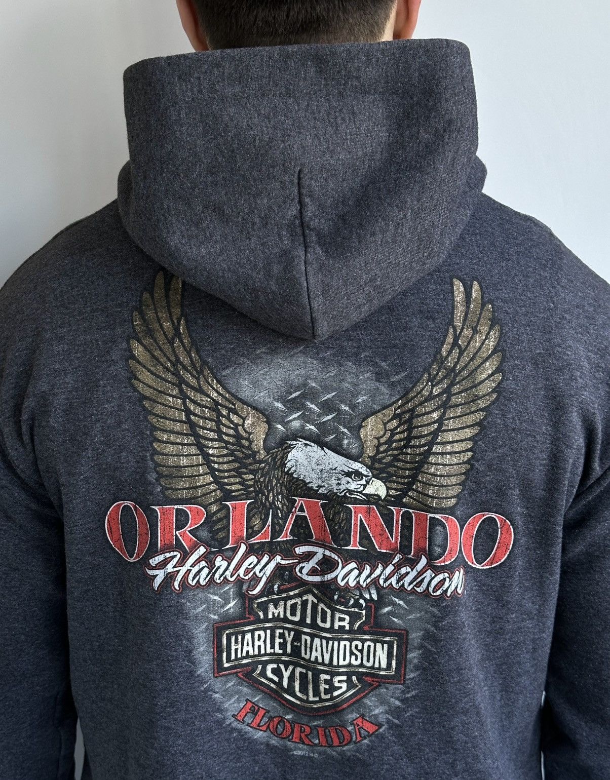 Harley Davidson Vtg 2012 Harley Davidson Orlando Florida Eagle Zip Hoodie L Size US L / EU 52-54 / 3 - 7 Thumbnail