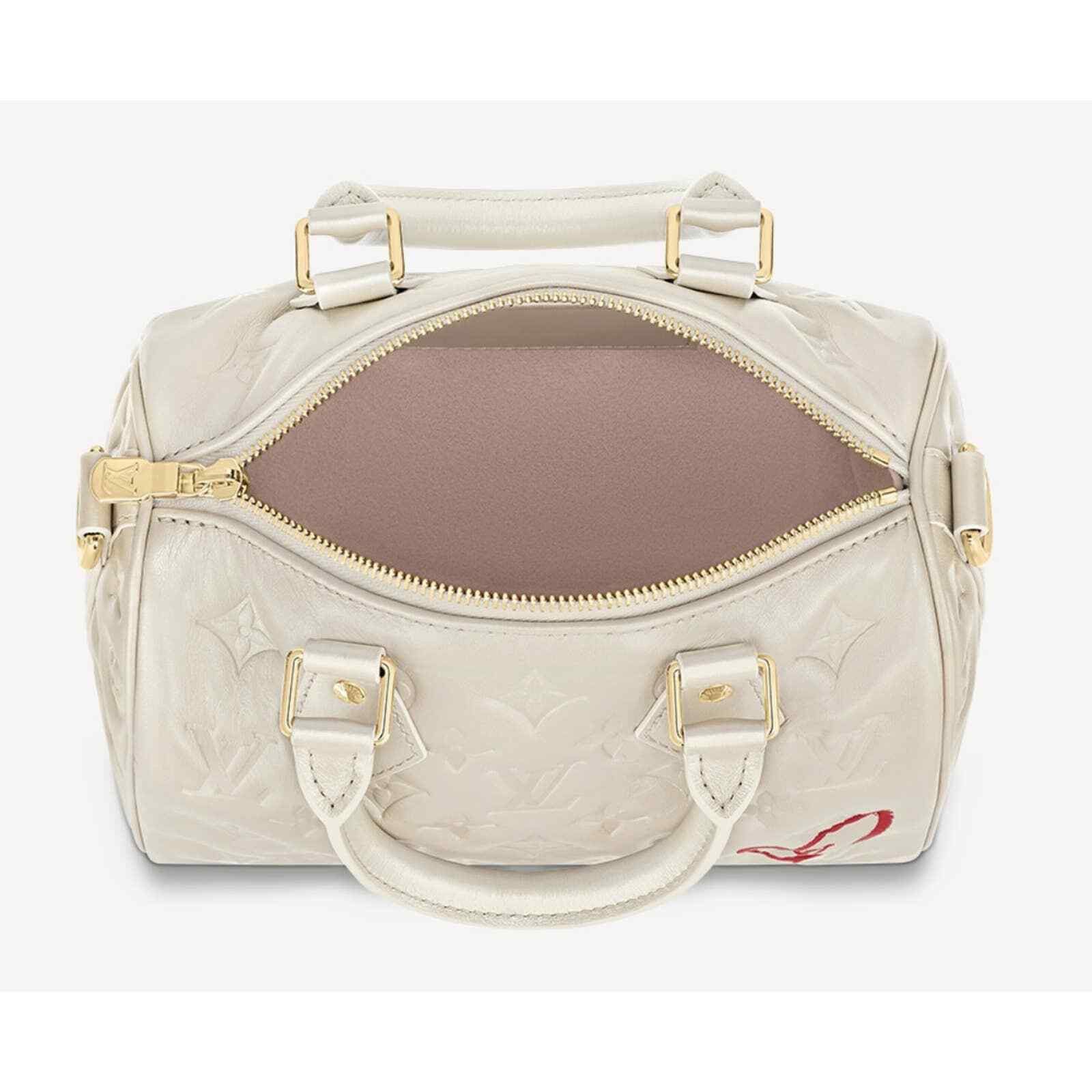 Louis Vuitton Louis Vuitton Fall In Love Speedy Top Handle Crossbody Bag Size ONE SIZE - 11 Thumbnail