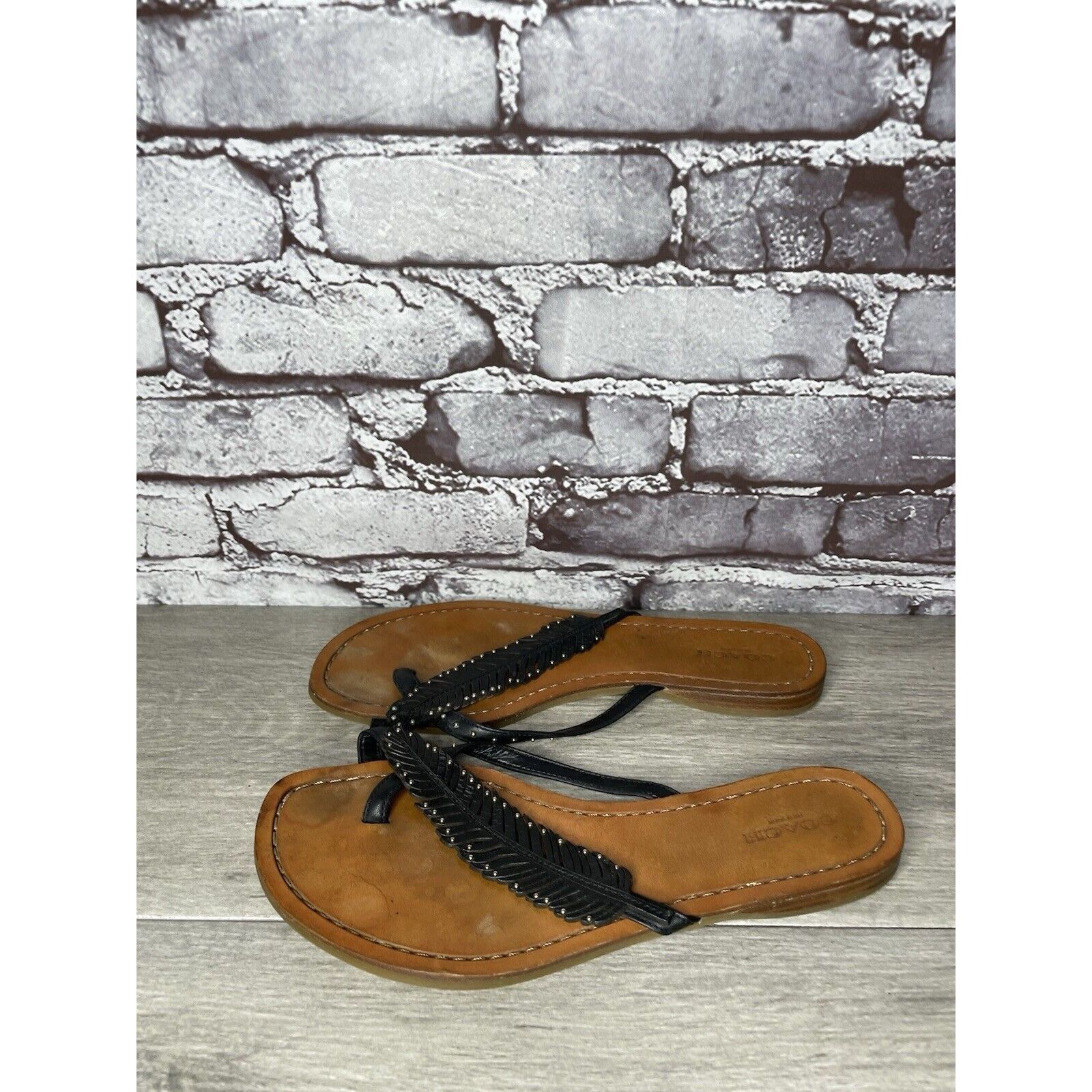 Coach Coach New York DENI Black Leather Feather Thong Flat Sandals Size US 8 / IT 38 - 22 Thumbnail