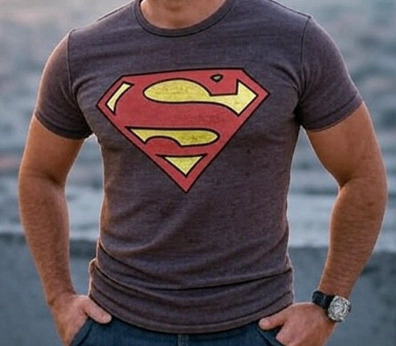 DC Comics Gray Superman Logo T-Shirt Size US M / EU 48-50 / 2 - 1 Thumbnail