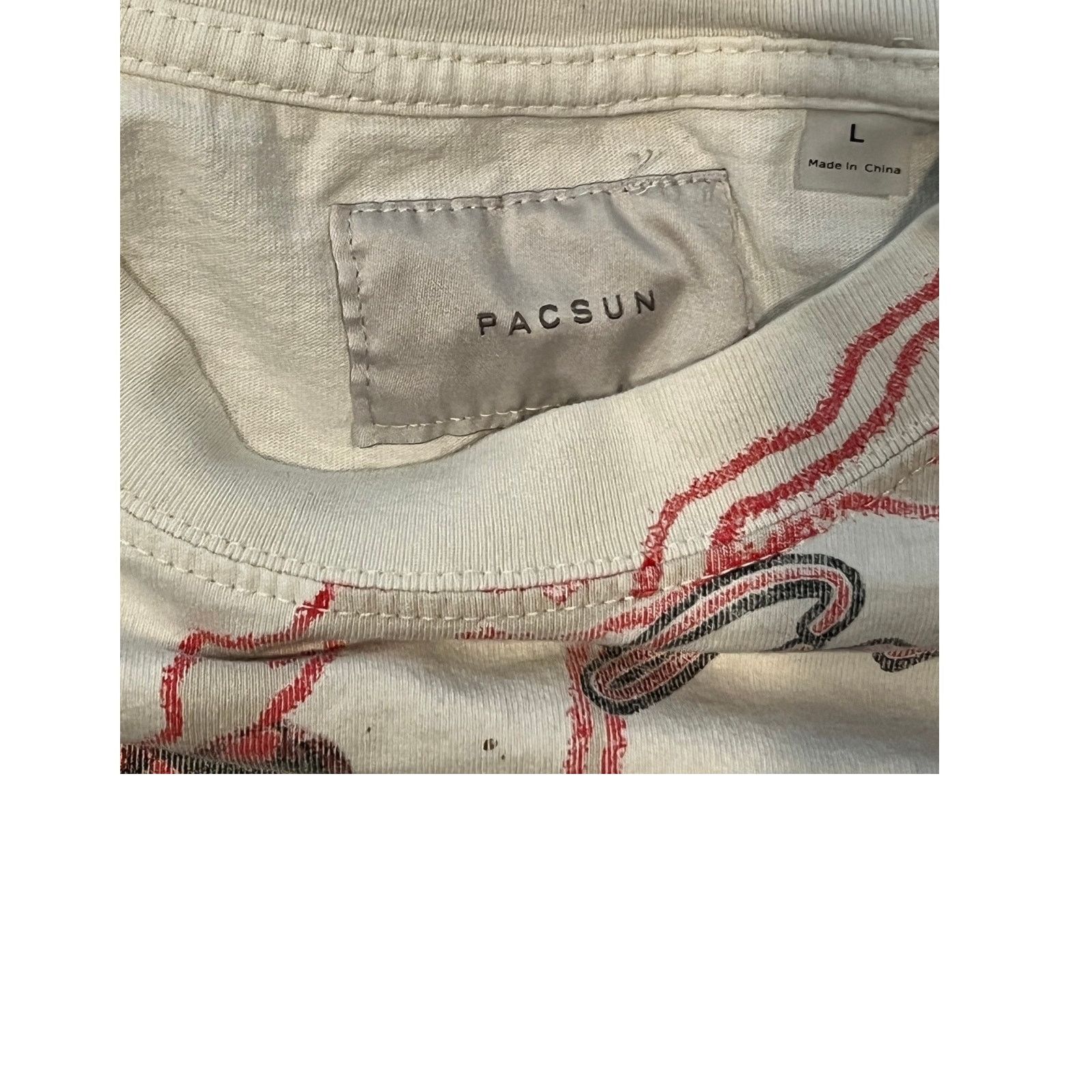 Pacsun Pacsun Riding the Rail T-Shirt Mens L Size US L / EU 52-54 / 3 - 3 Thumbnail