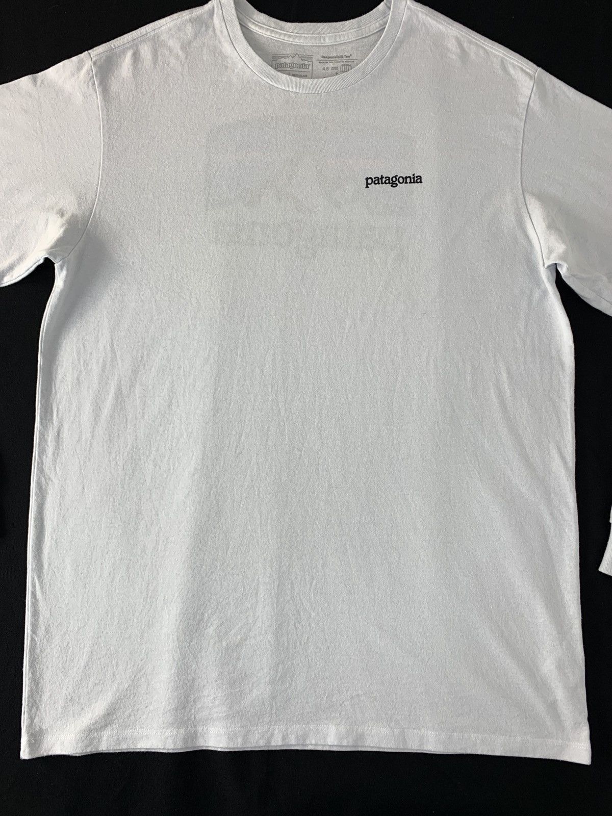 Patagonia Hype Patagonia Longsleeve P-6 Logo Responsibili Printed Tee Size US L / EU 52-54 / 3 - 3 Thumbnail