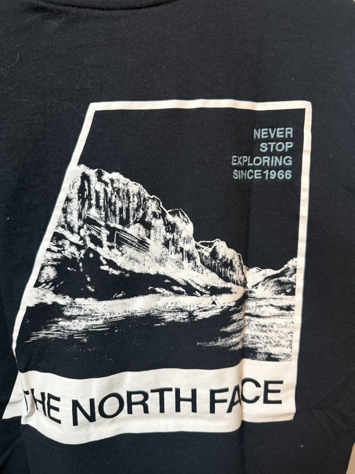 The North Face The North Face T-shirt Size US L / EU 52-54 / 3 - 3 Thumbnail