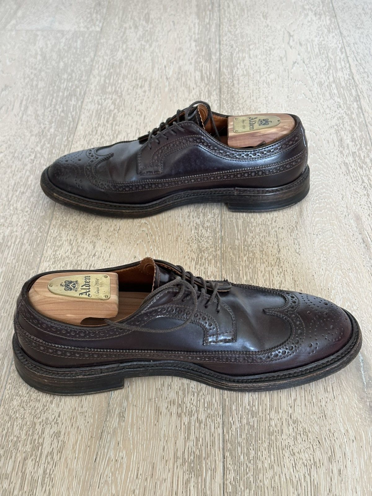 Alden Color 8 Shell Cordovan Long Wing