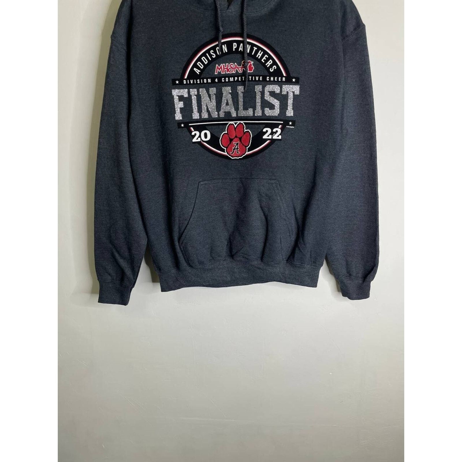 Gildan Vintage Addison Panthers FINALIST Hoodie MHSAA M Size US M / EU 48-50 / 2 - 3 Thumbnail
