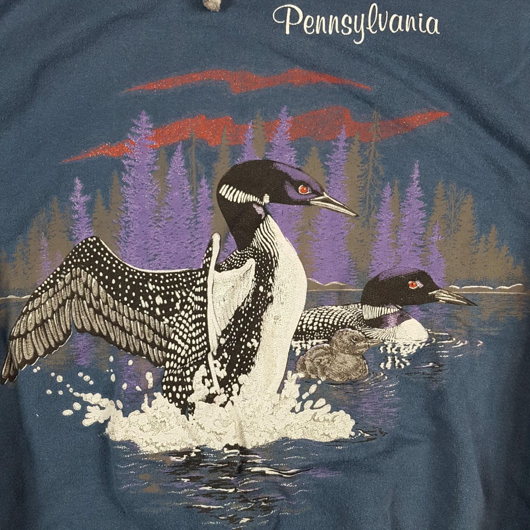 Vintage Vintage 80s Pennsylvania Duck Nature Men's Size M Pullover Mock Neck Sweatshirt Size US M / EU 48-50 / 2 - 3 Thumbnail