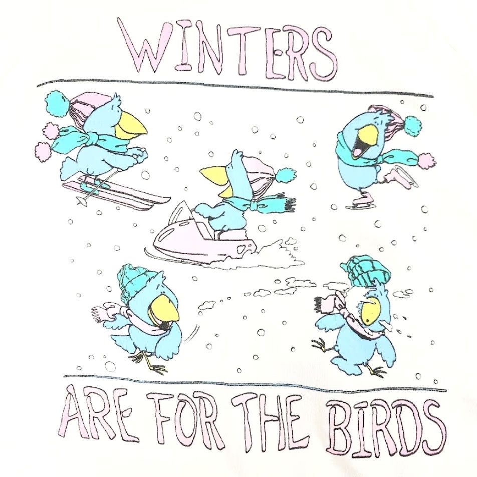 Jerzees VINTAGE Ski Birds Sweatshirt Mens Size Small White 80s Snowmobile Made In USA Size US S / EU 44-46 / 1 - 3 Thumbnail